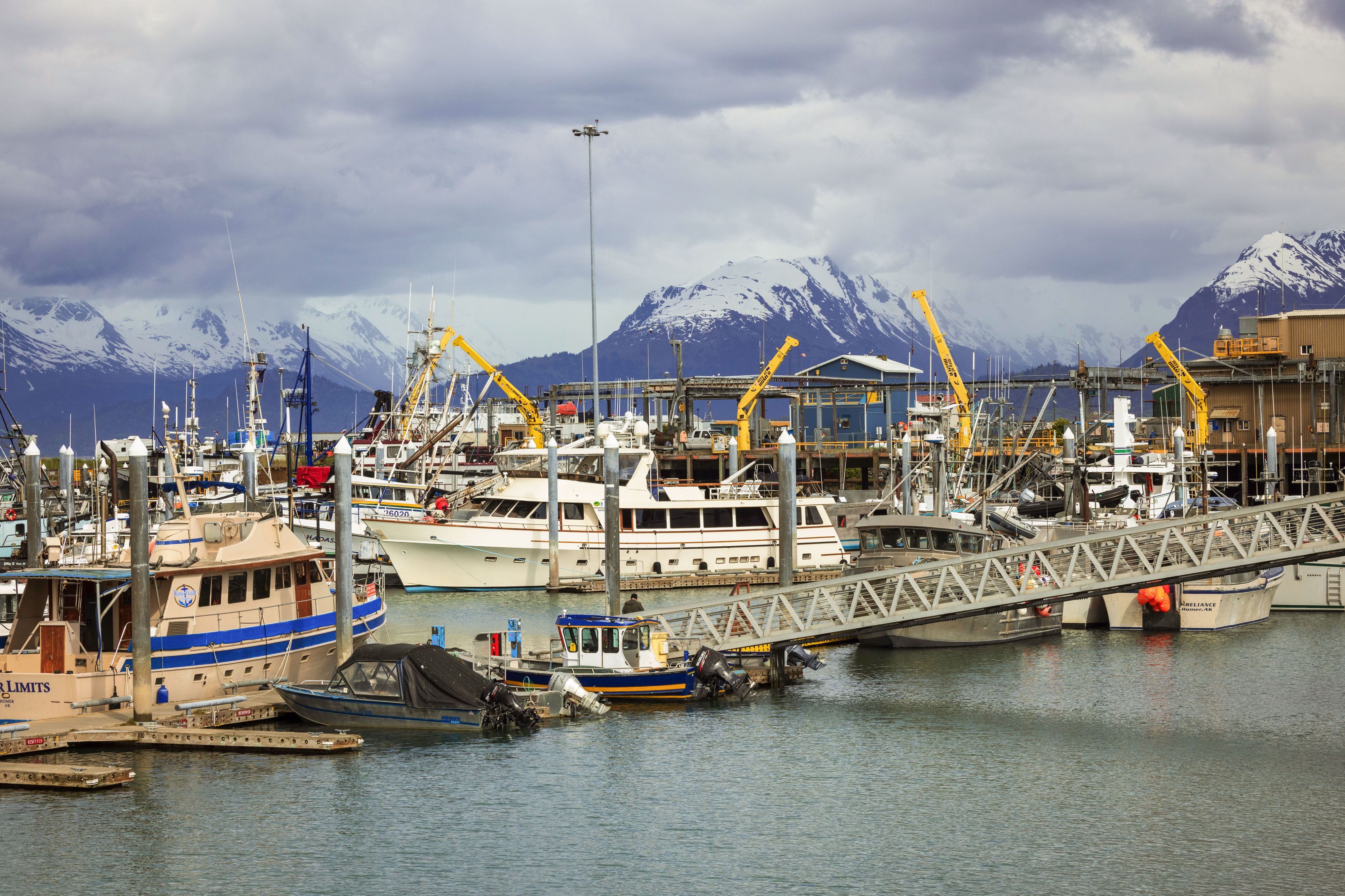 Hafen von Homer in Alaska