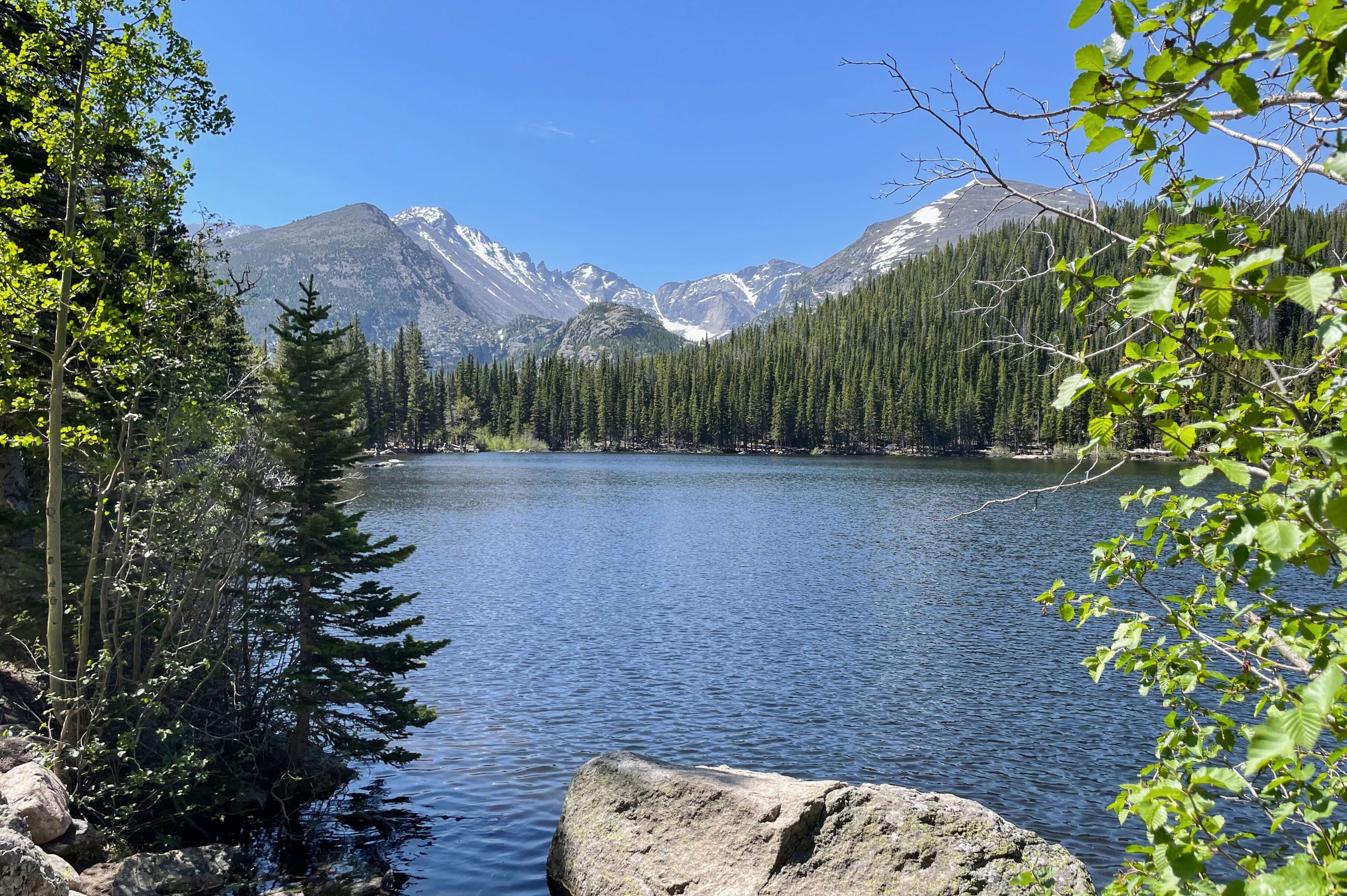 Wunderschöne Aussicht auf den Bear Lake im Rocky Mountain National Park