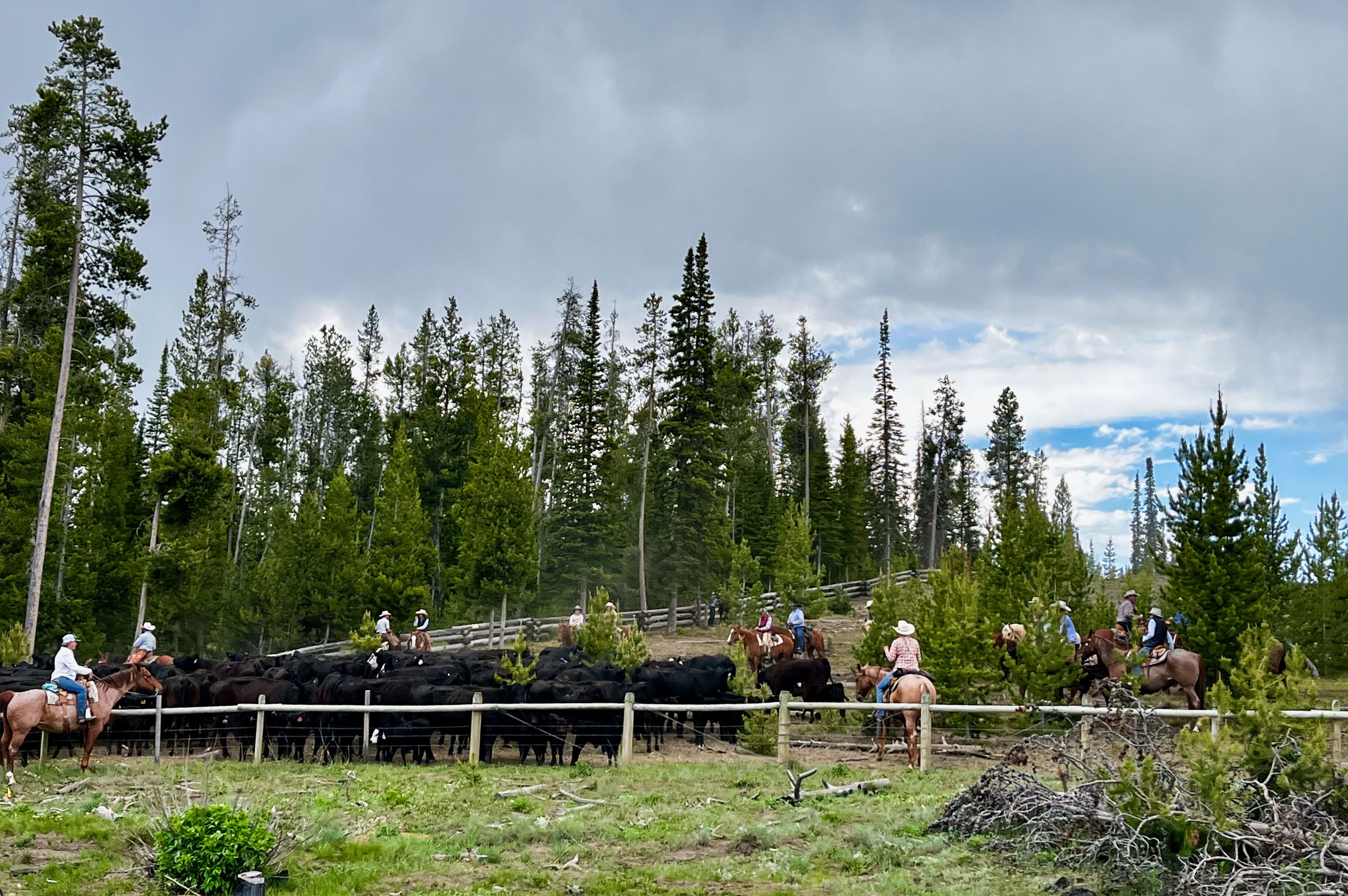 Cowboys auf Pferden in Wyoming