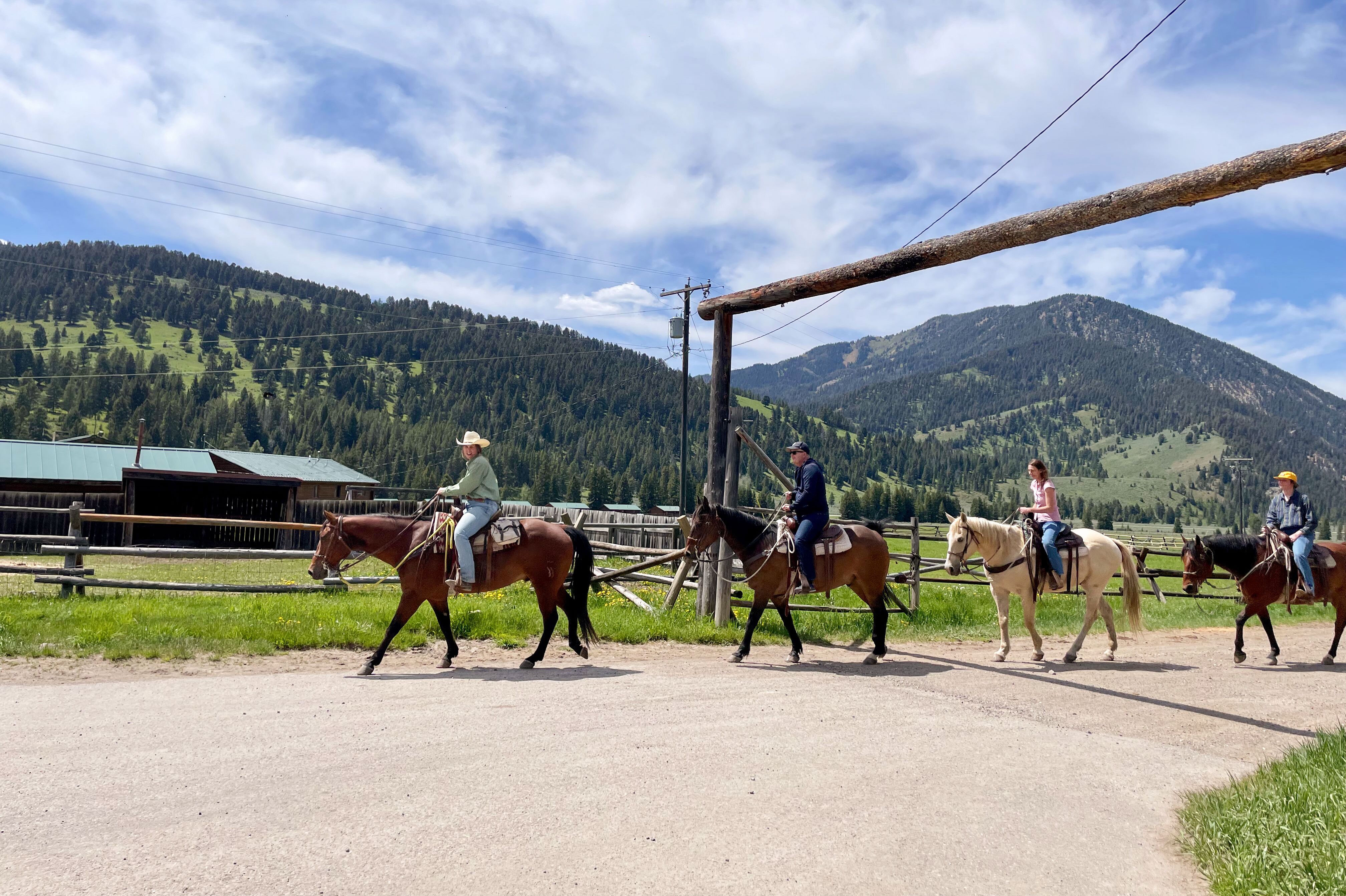 Reitausflug auf der 320 Guest Ranch in Yellowstone