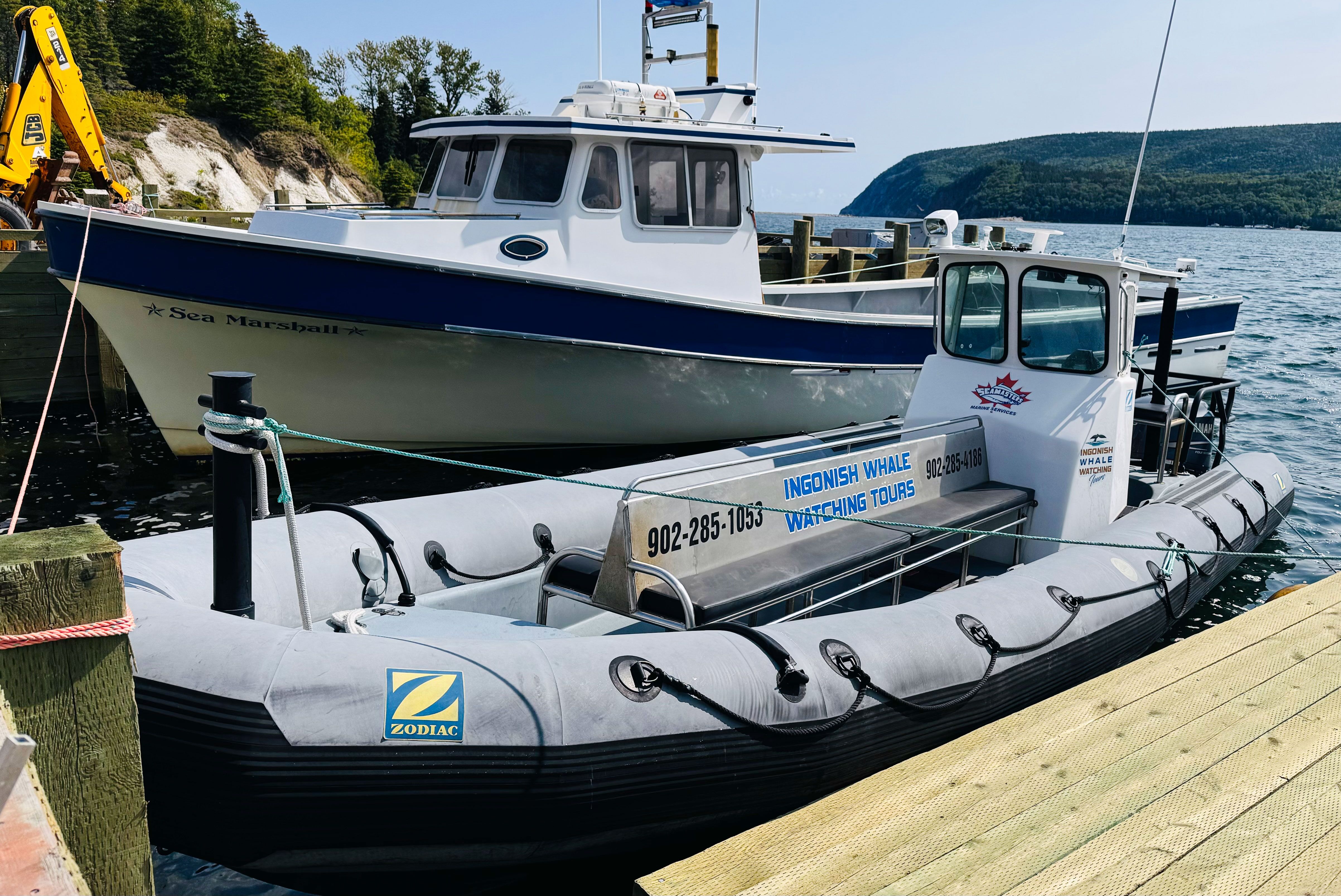 Boot zur Walbeobachtung am Ingonish Beach