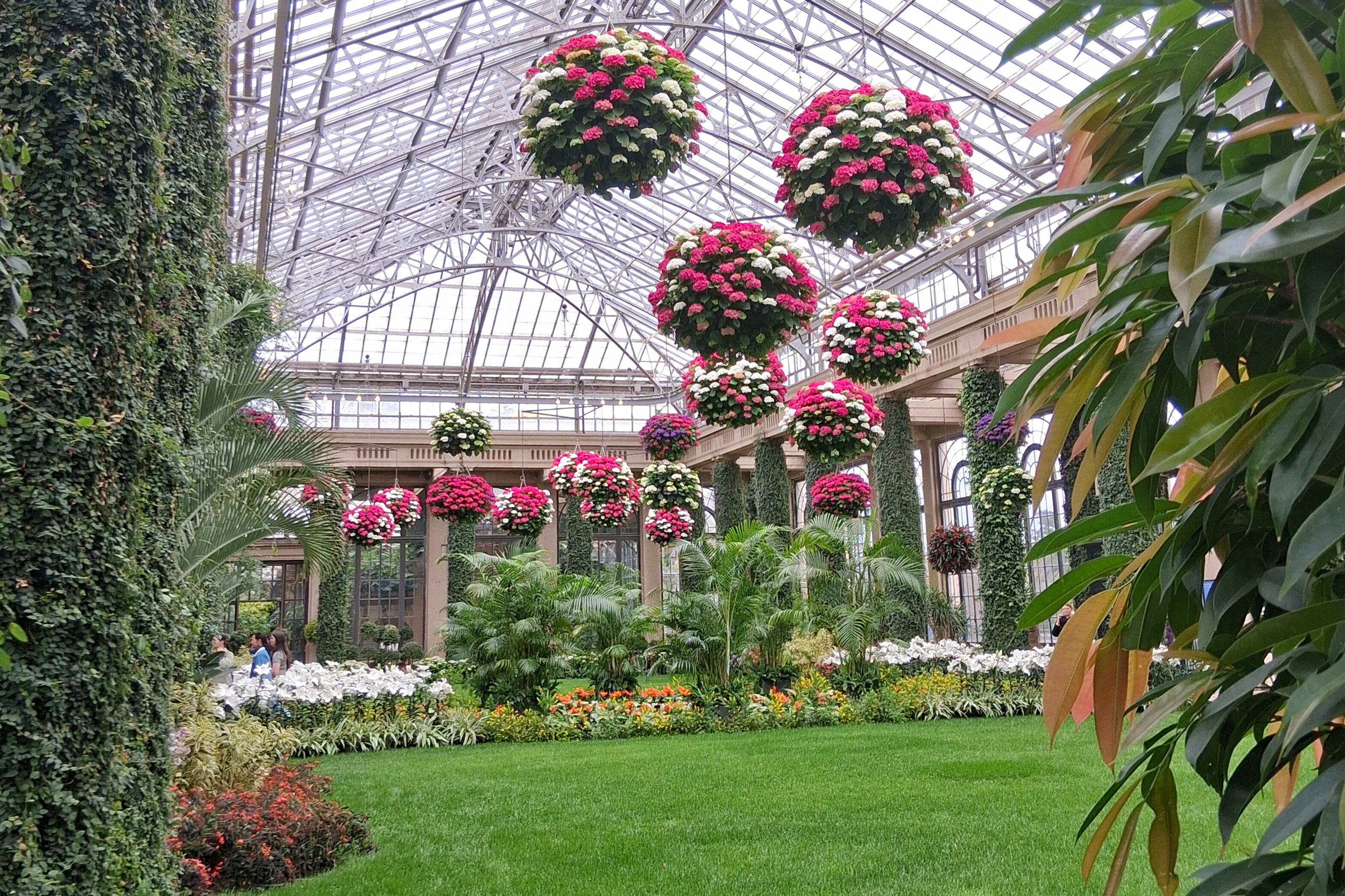 Blumen in den Longwood Gardens