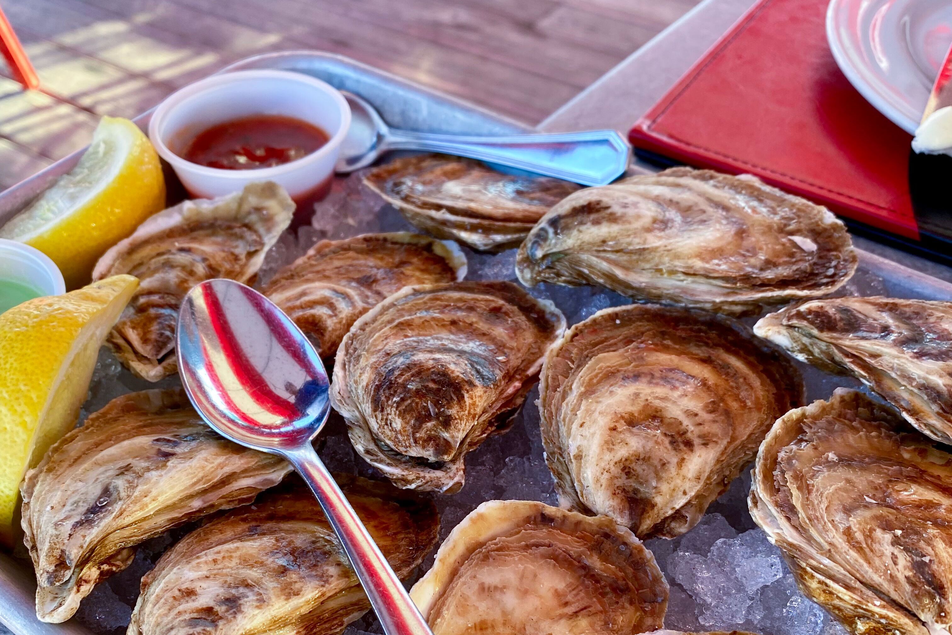 Frische Austern im Restaurant Lobster on the Wharf in Charlottetown auf Prince Edward Island Frische Austern im Restaurant Lobster on the Wharf in Charlottetown auf Prince Edward Island