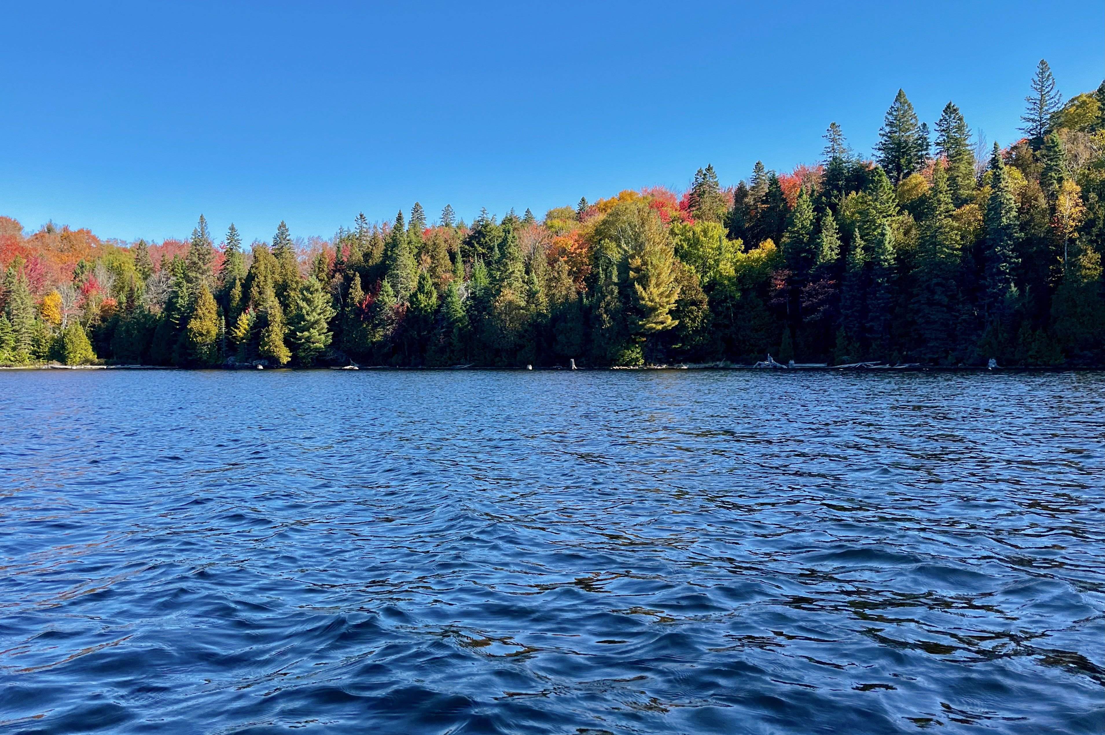 Canoe Lake in Toronto Canoe Lake in Toronto