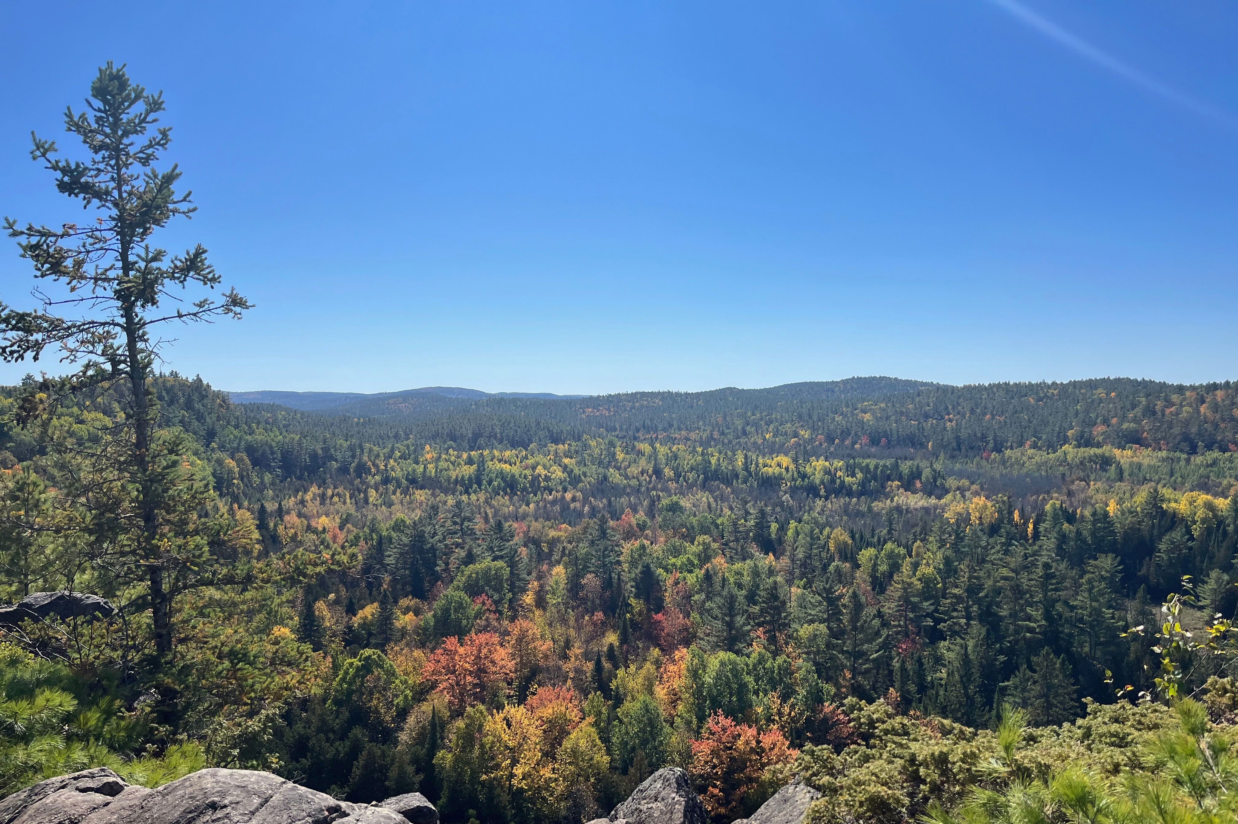 Idyllische Aussicht auf den Eagles Nest Trail in Toronto Idyllische Aussicht auf den Eagles Nest Trail in Toronto