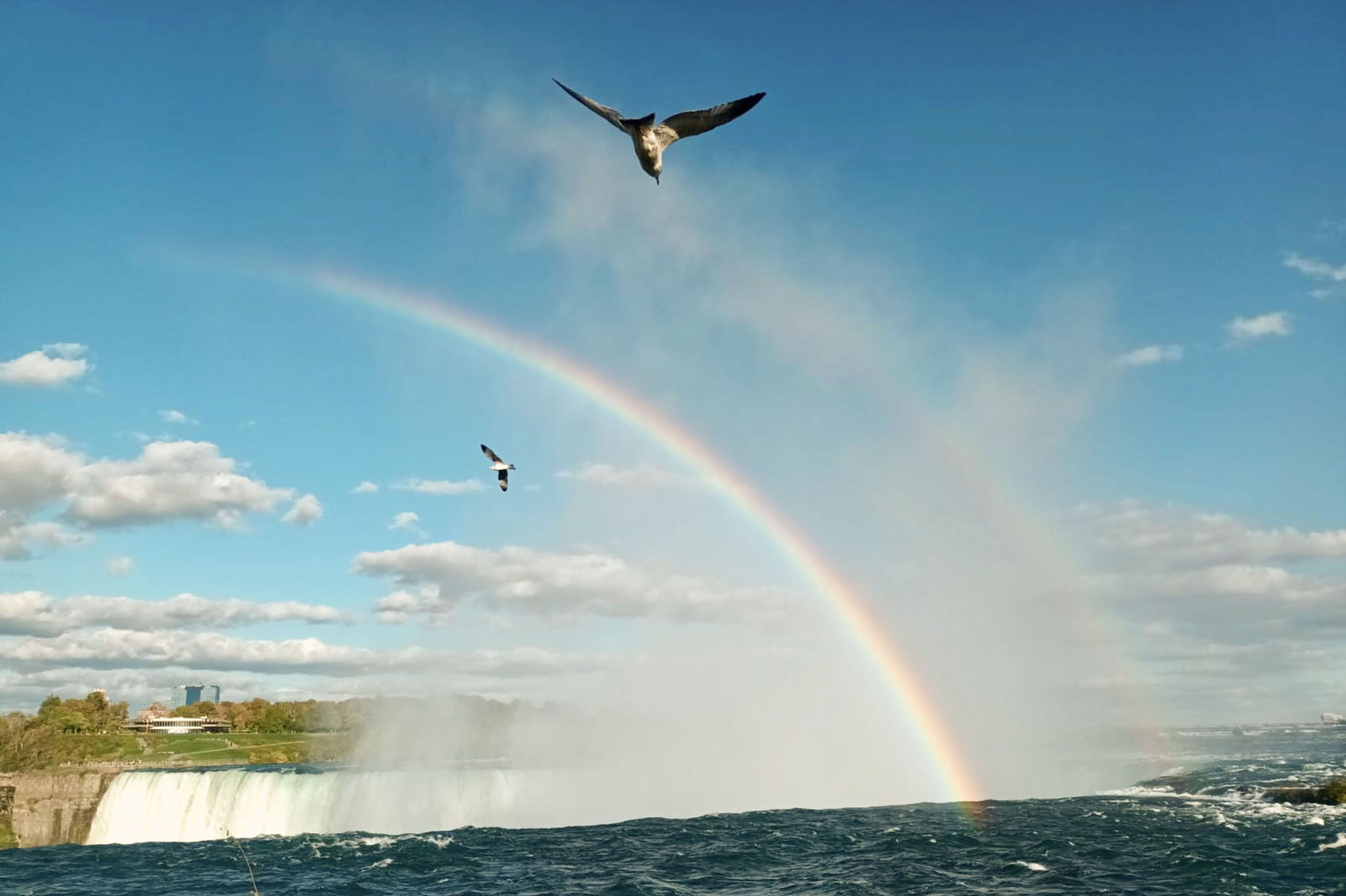 Schöner Regenbogen über Niagara Falls in Ontario Schöner Regenbogen über Niagara Falls in Ontario