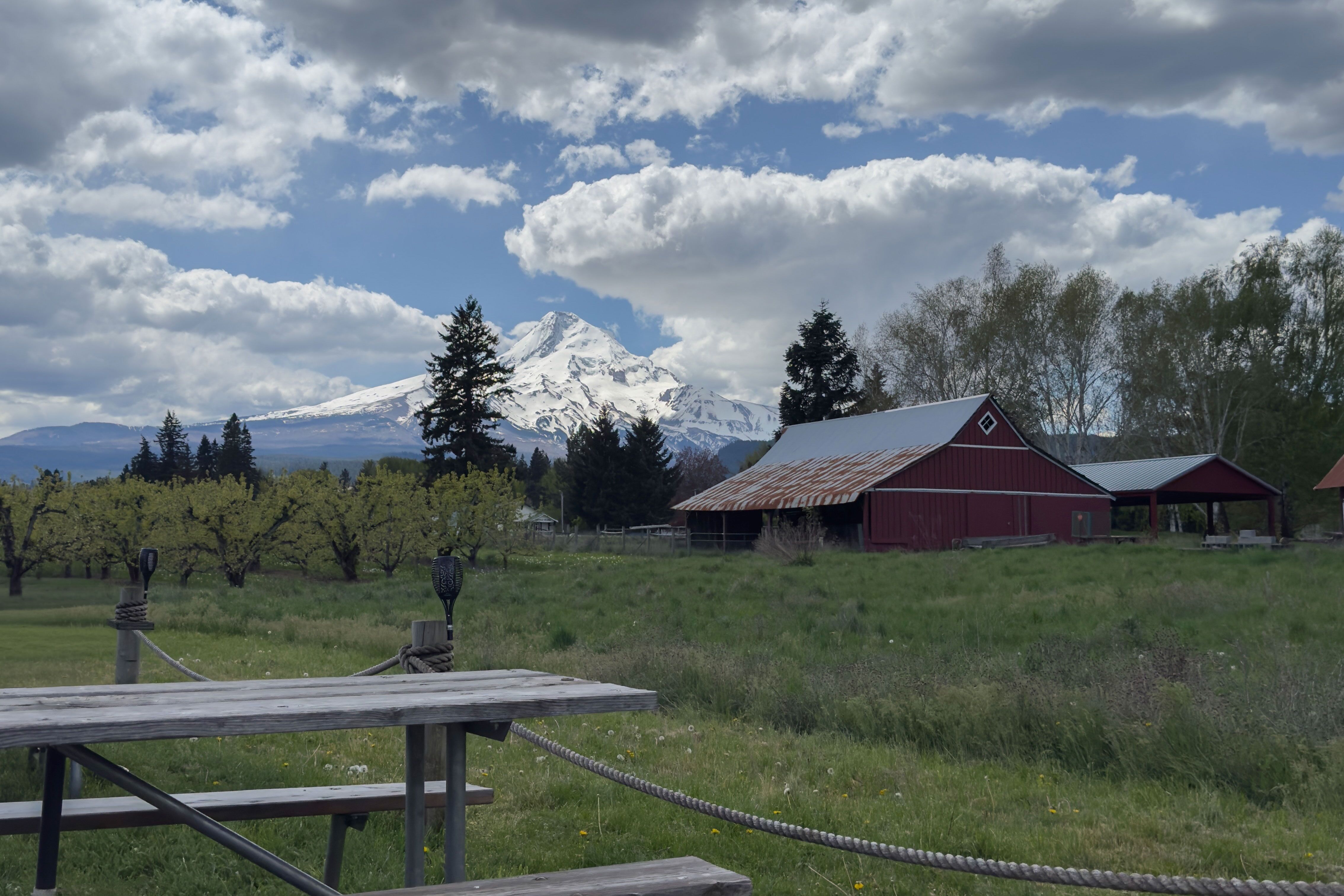 Die Solera Brewery begeistert nicht nur mit ihren Bieren, sondern auch mit dem Blick auf den Mount Hood.
