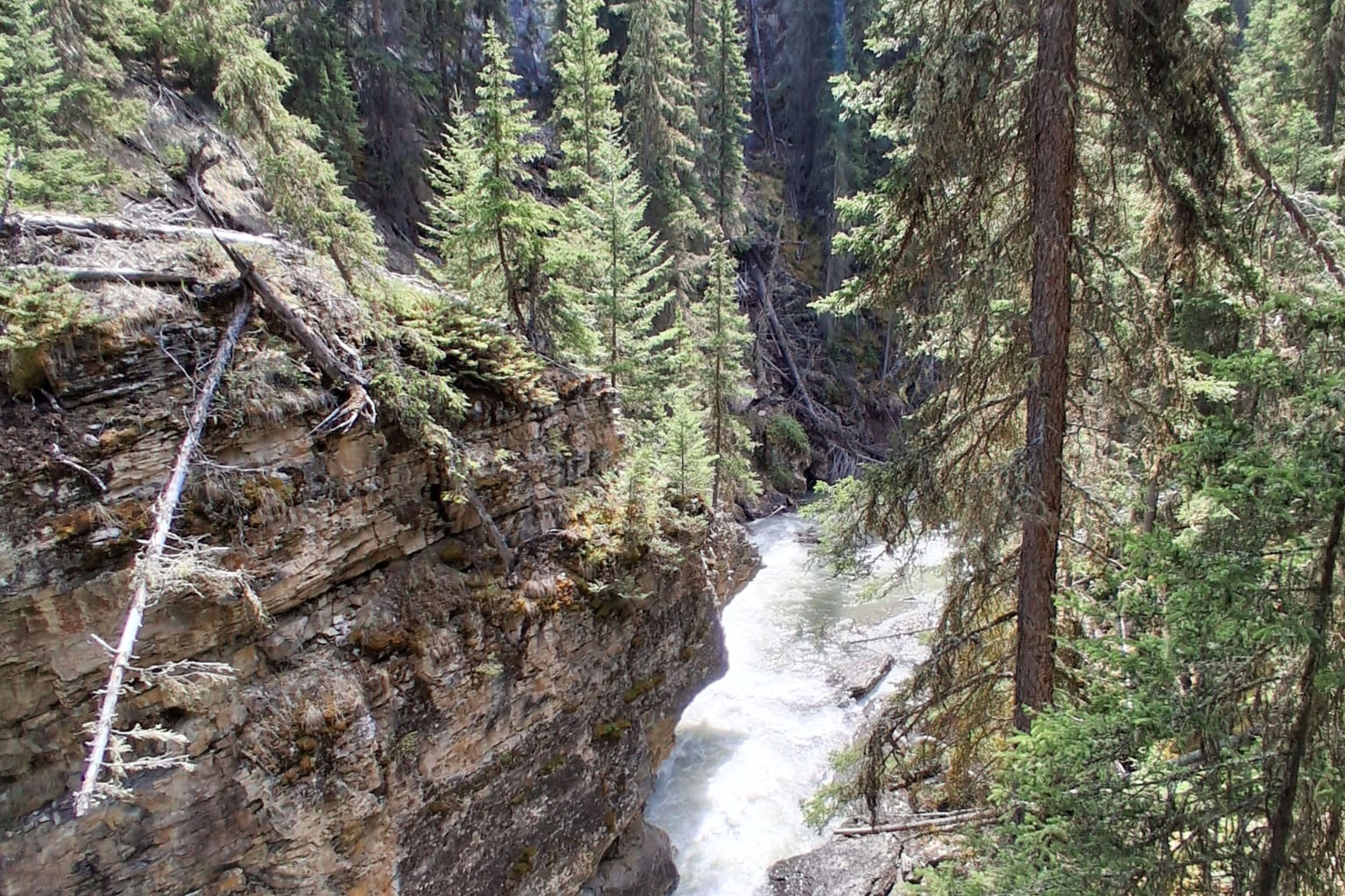 Atemberaubender Wasserfall und Wald am Johnston Canyon Atemberaubender Wasserfall und Wald am Johnston Canyon