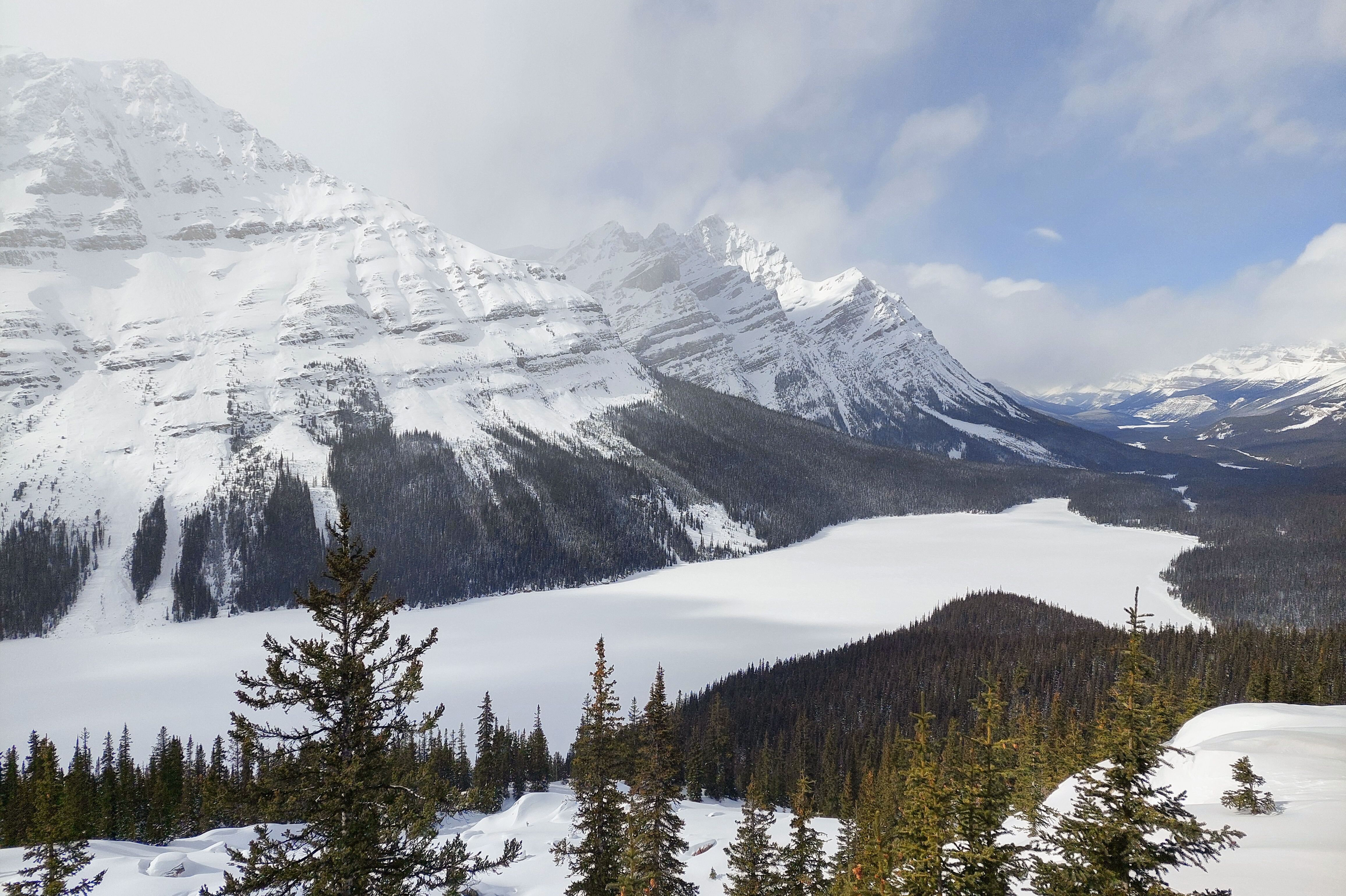 Traumhafter Blick auf den Peyto Lake im Banff-Nationalpark
