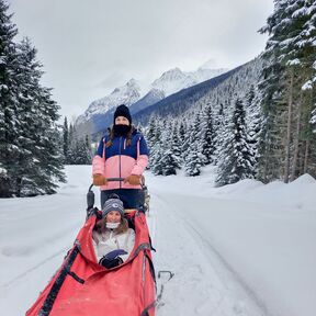 Cindy und Maja mit dem Hundeschlitten unterwegs in Valemount