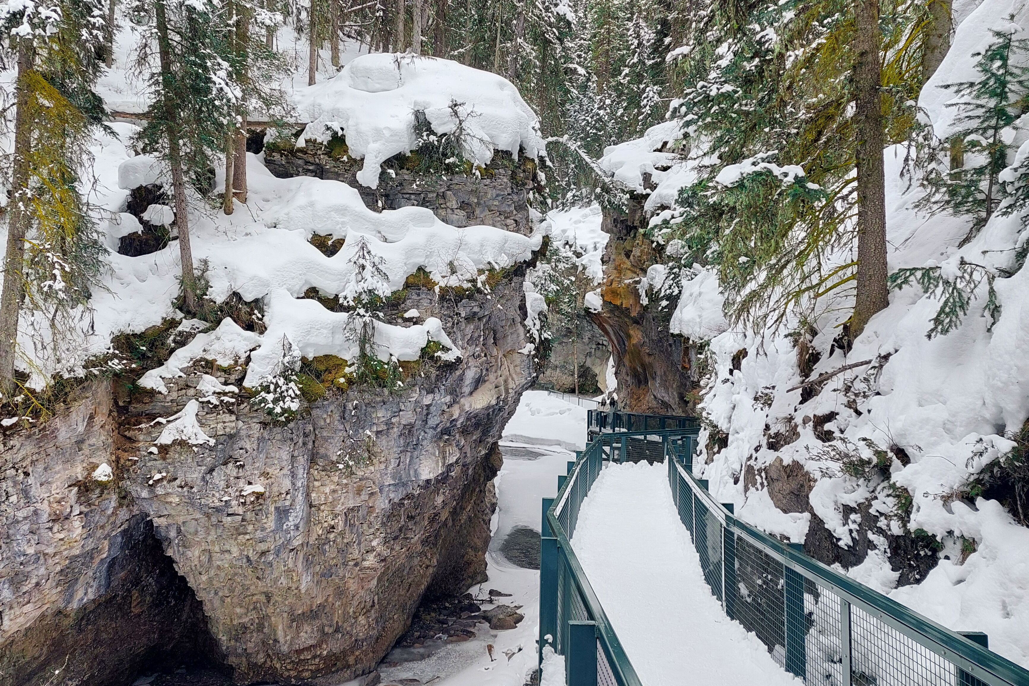 Brücke durch den Johnston Canyon im Banff-Nationalpark