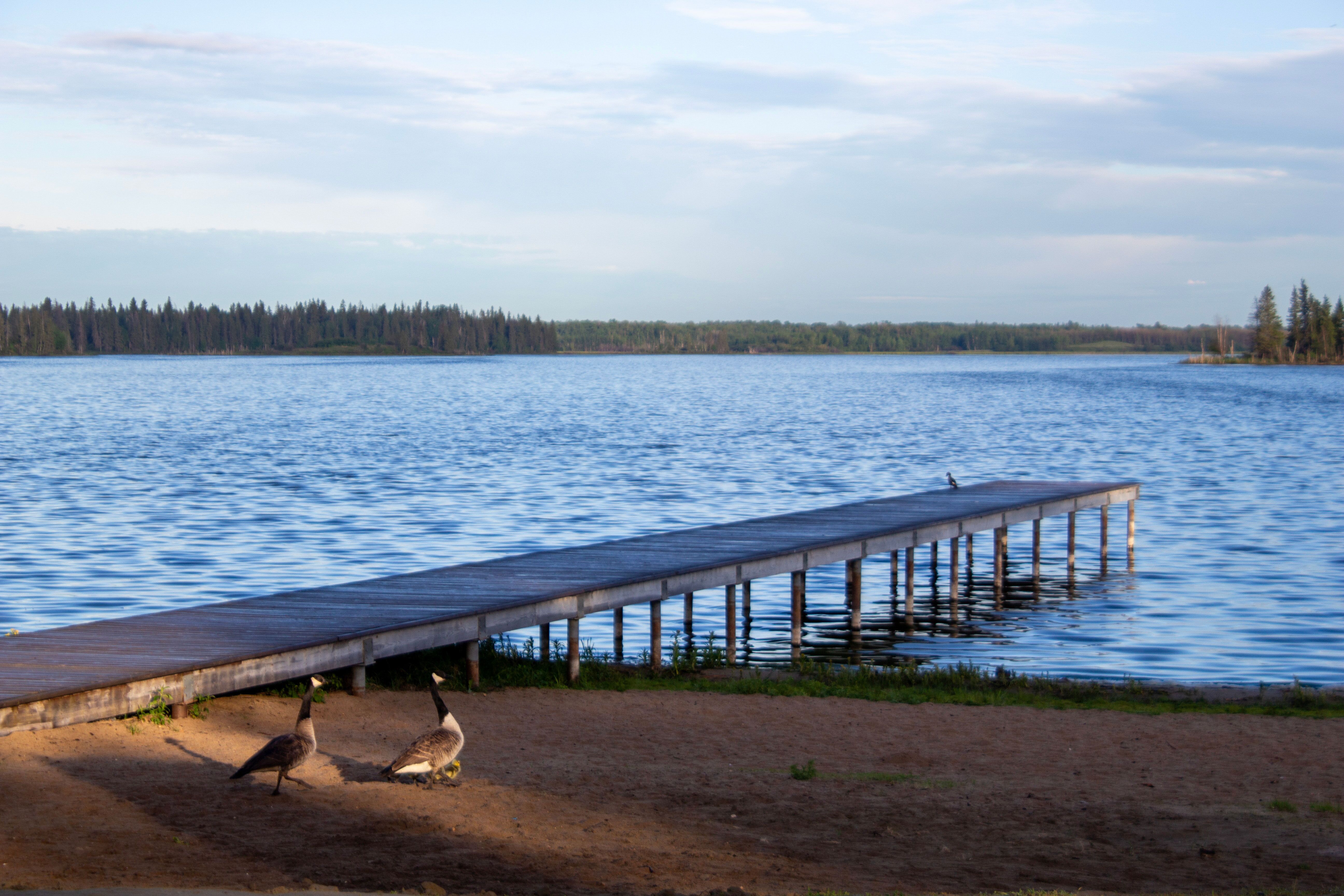 Astotin Lake im Elk Island National Park