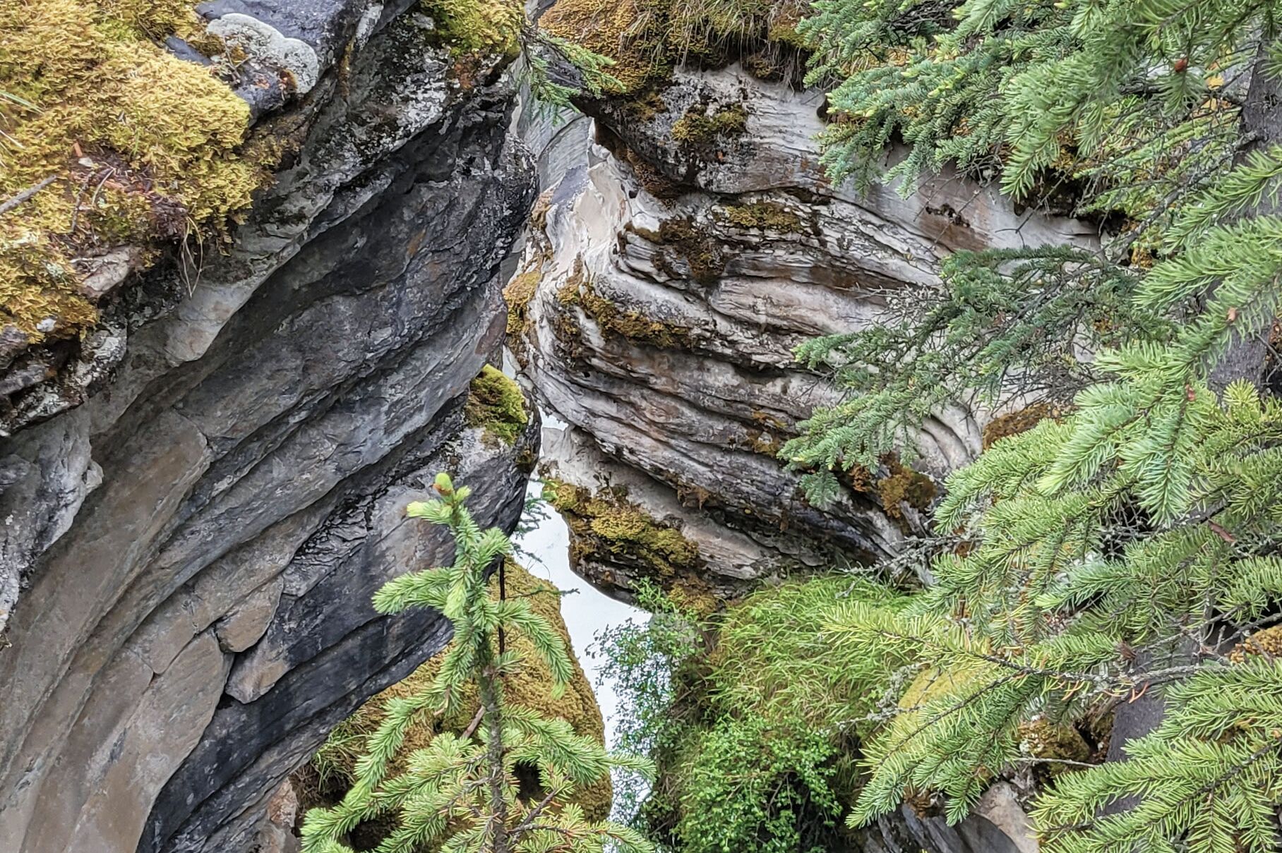 Blick auf die Athabasca Falls
