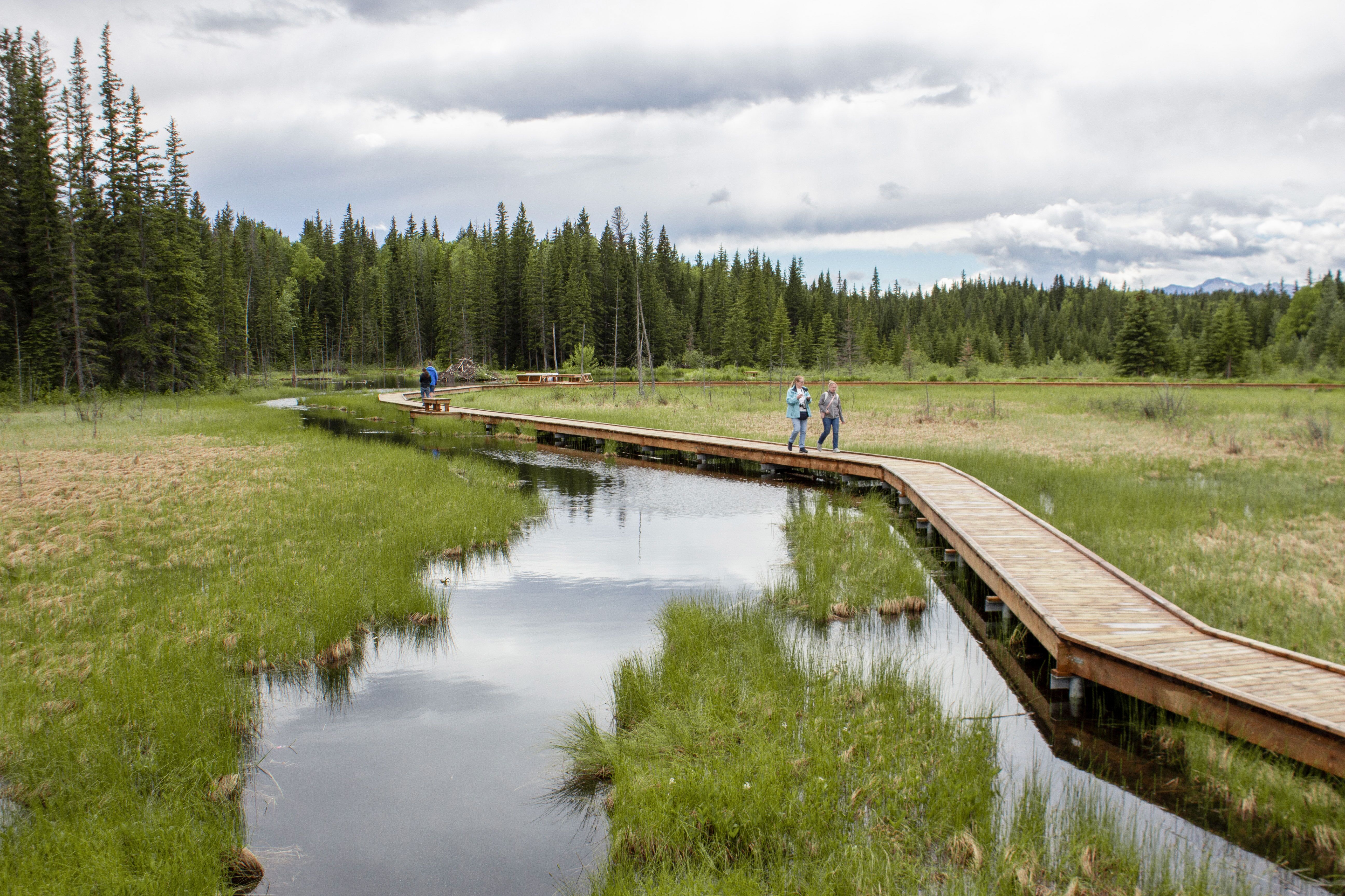 Beaver Boardwalk in Hinton in Alberta