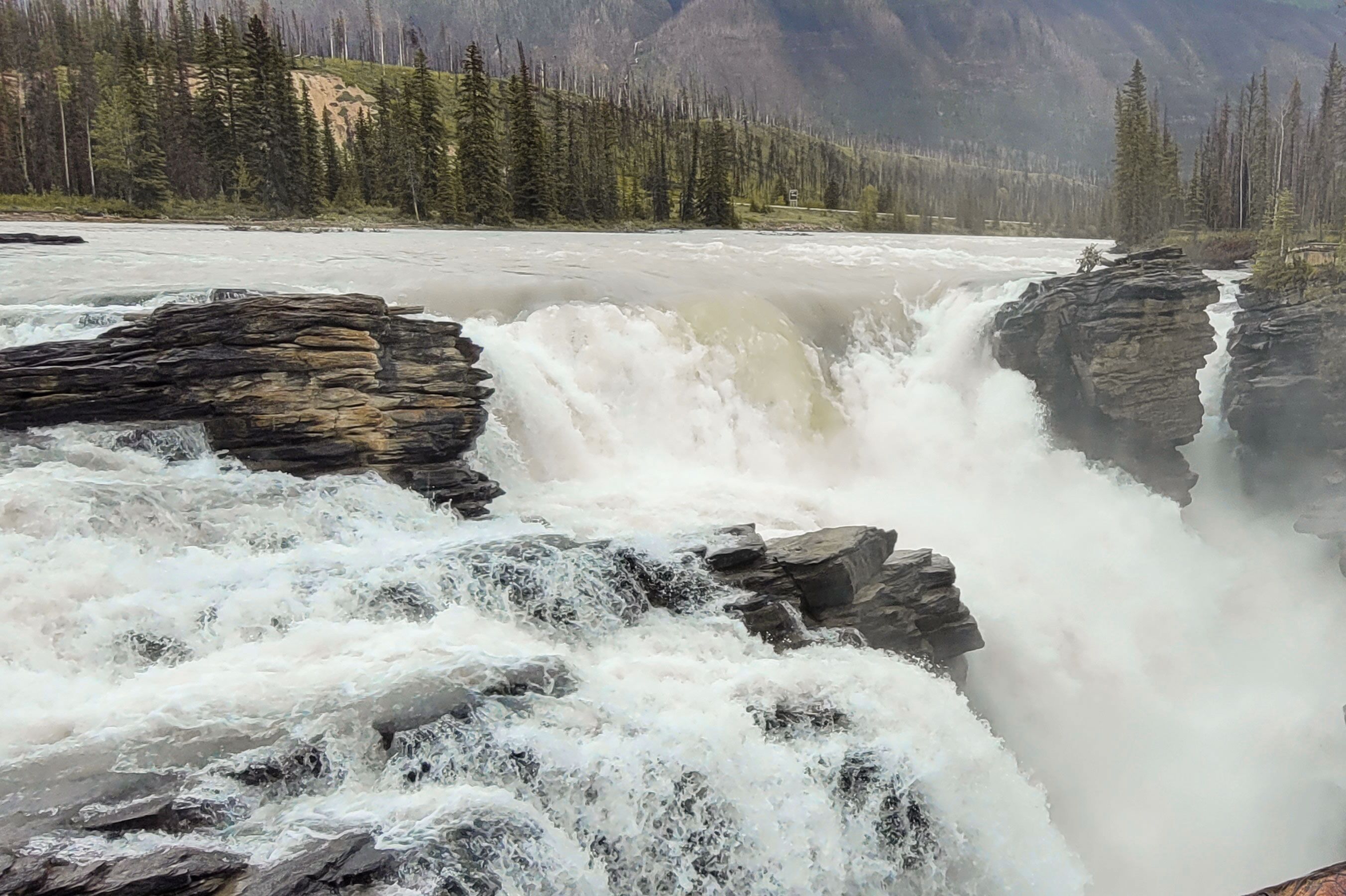 Traumhafte Athabasca Falls im Jasper-Nationalpark in Alberta