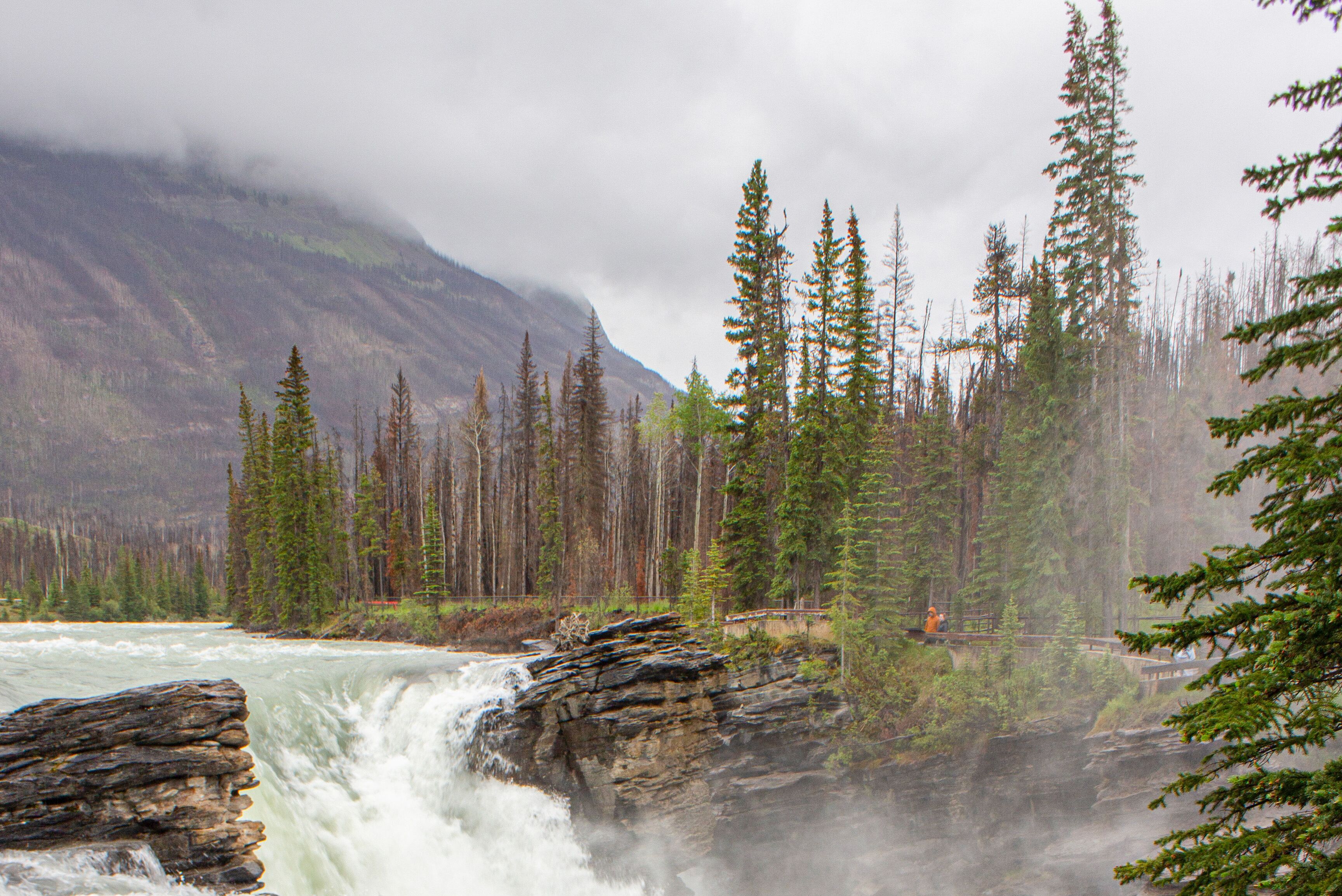 Wasserfall Athabasca Falls im Jasper-Nationalpark Albertas
