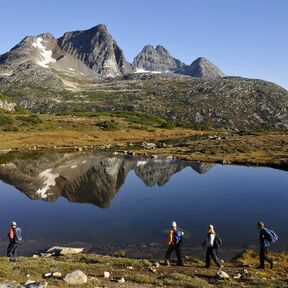 Impressionen Bärenbeobachtung Tweedsmuir Park Lodge Impressionen Bärenbeobachtung Tweedsmuir Park Lodge