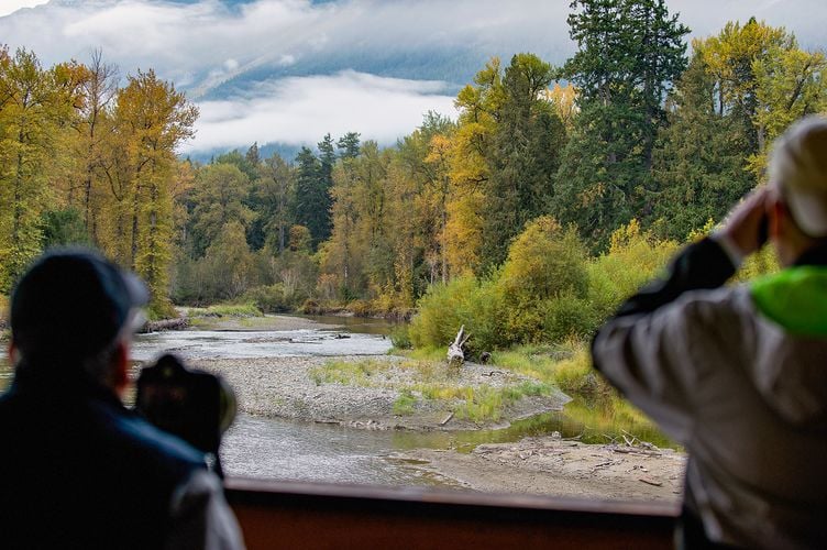 Zwei Teilnehmer einer Bärenbeobachtung der Tweedsmuir Park Lodge in Bella Coola im Cariboo Chilcotin, British Columbia Zwei Teilnehmer einer Bärenbeobachtung der Tweedsmuir Park Lodge in Bella Coola im Cariboo Chilcotin, British Columbia