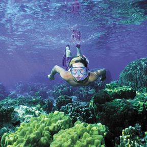 ausflug/hawaii/maui/molokini-snorkel-cruise3.cr305x305-110x27