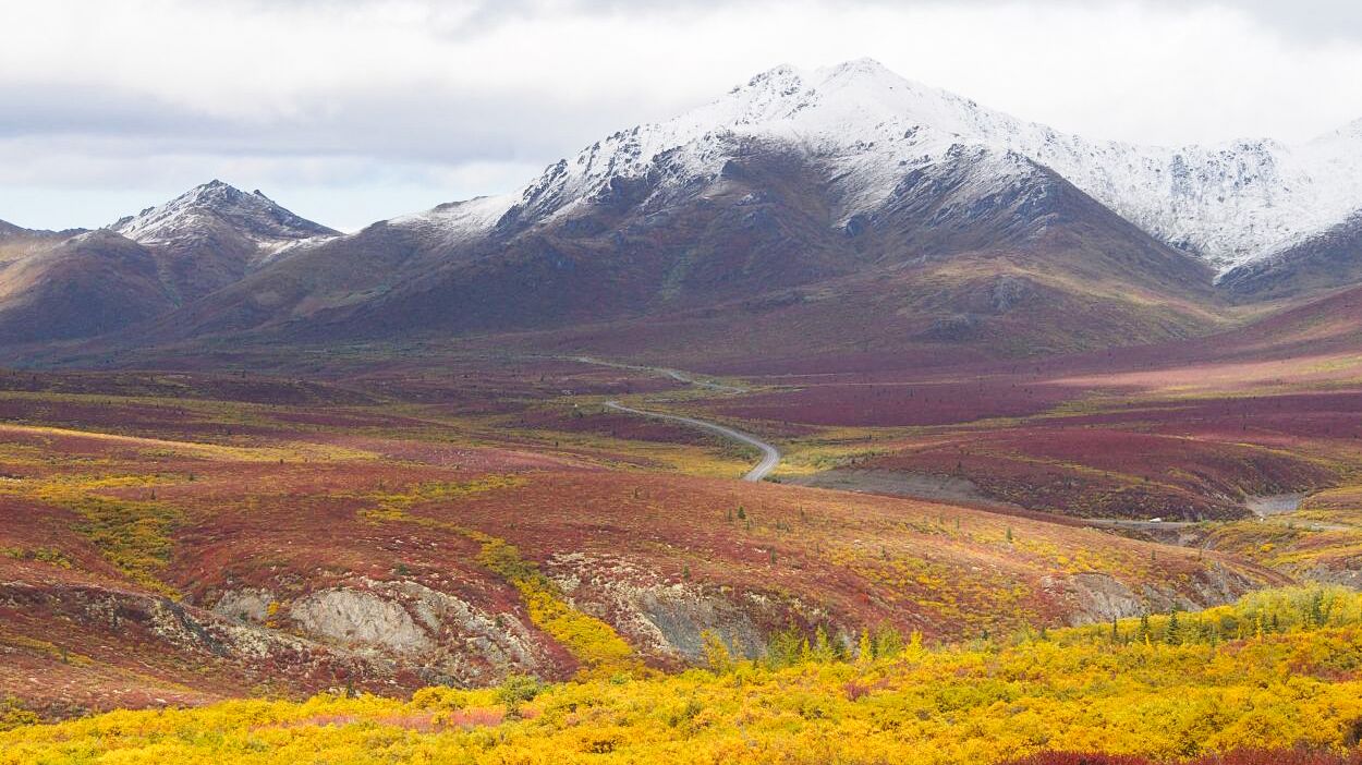 ausflug/kanada/arctic-range-touren/dempster-highway-yukon-arctic-range.cr1250x702-0x35 ausflug/kanada/arctic-range-touren/dempster-highway-yukon-arctic-range.cr1250x702-0x35
