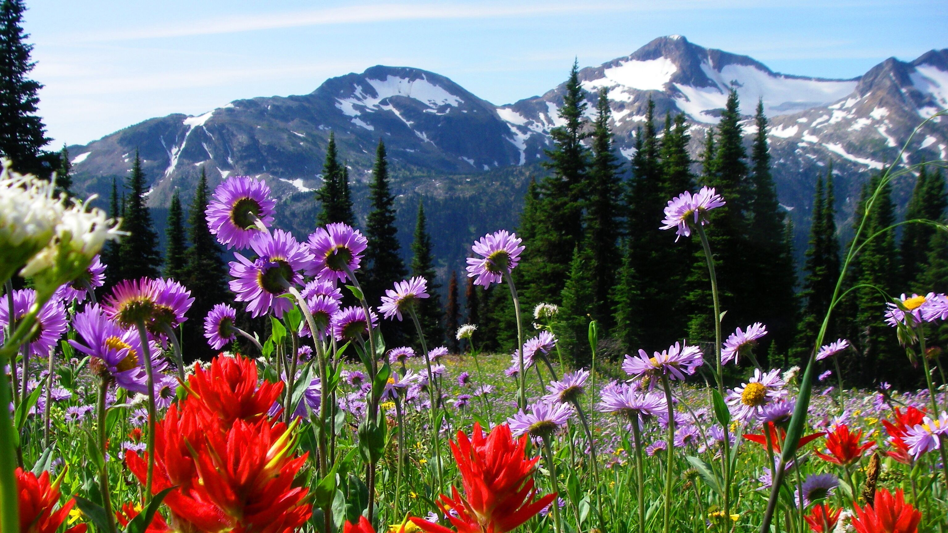 Battle Mountain Hiking Tour