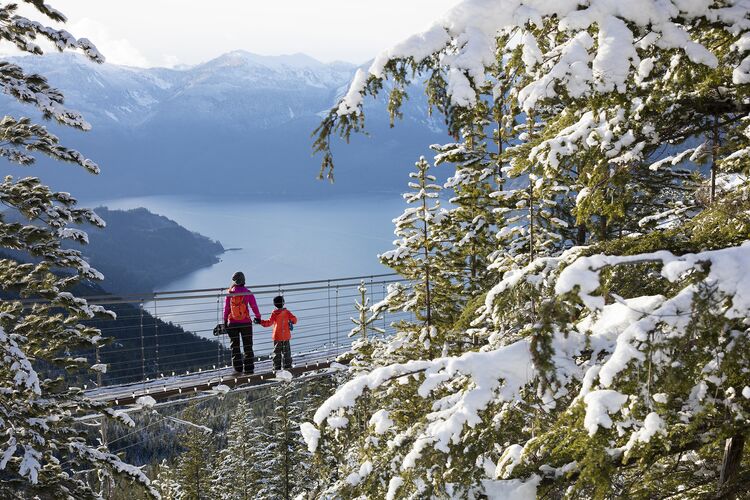 Den Ausblick der Sky Pilot Suspension Bridge von Sea to Sky Gondola in Squamish genieÃŸen