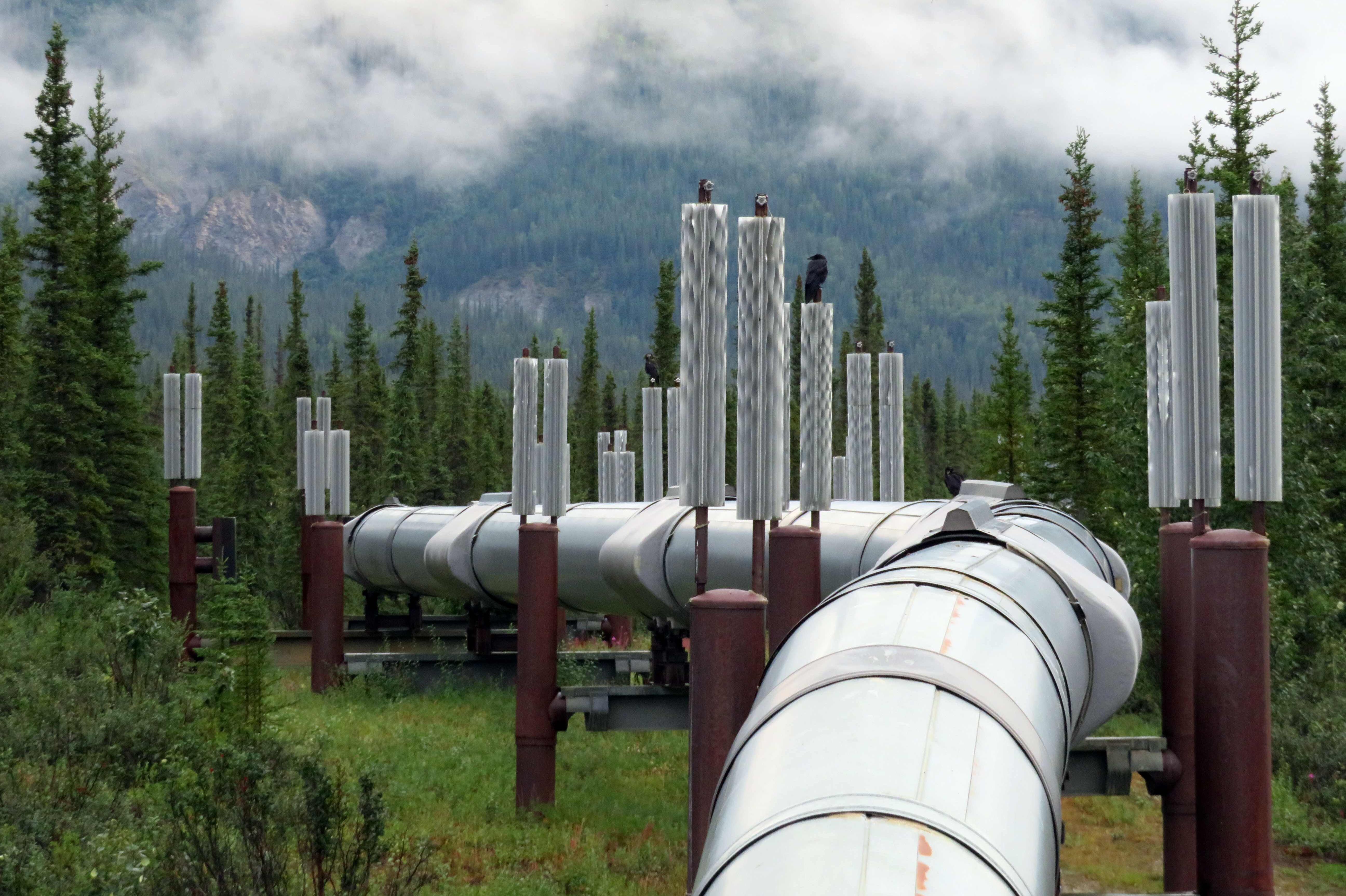 Öl-Pipeline