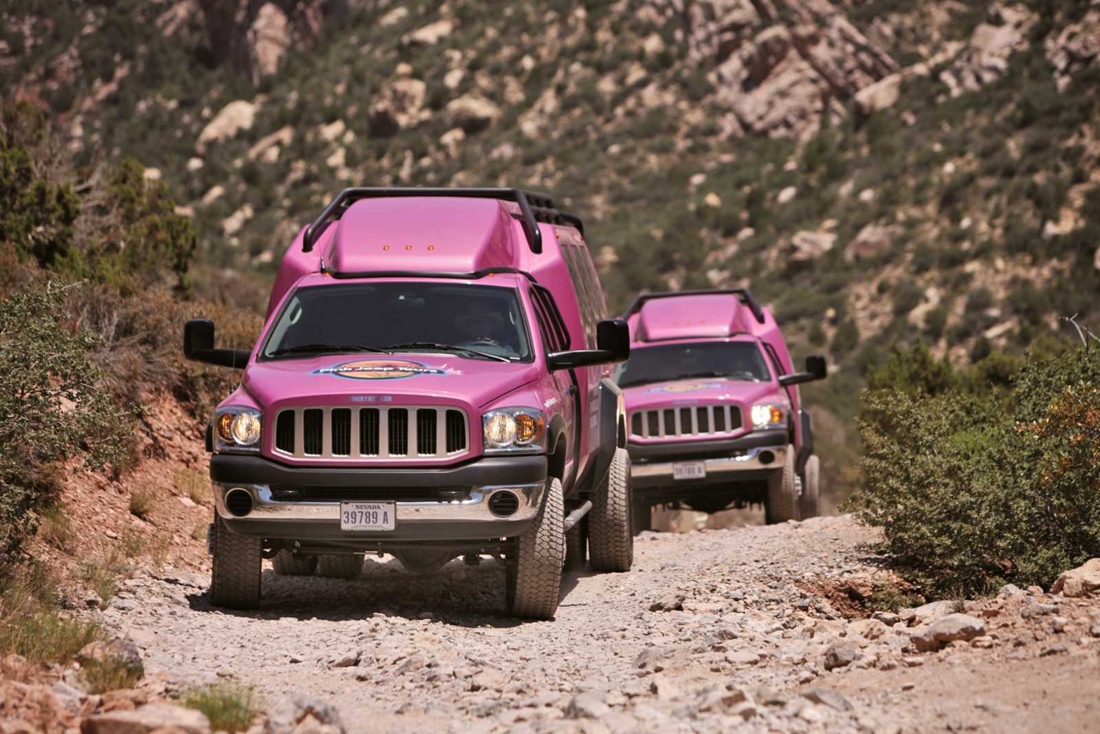 pink jeep grand entrance tour