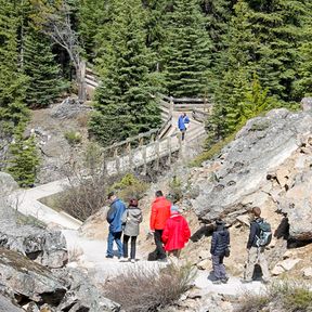 Reisende von American Ring Travel auf dem Weg zum Moraine Lake