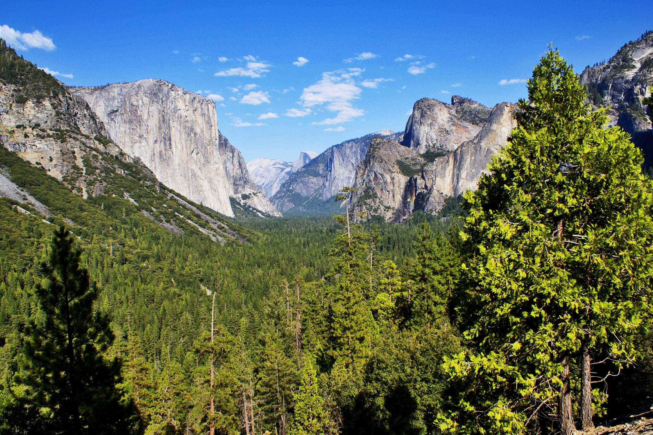 bus/busreisen/usa/yosemite-nationalpark