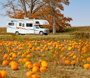 Fahrt mit dem MHA Midi Motorhome entlang eines Kürbisfelds in Ontario