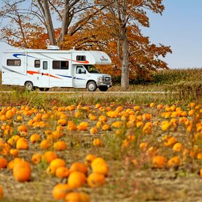 Fahrt mit dem MHA Midi Motorhome entlang eines Kürbisfelds in Ontario