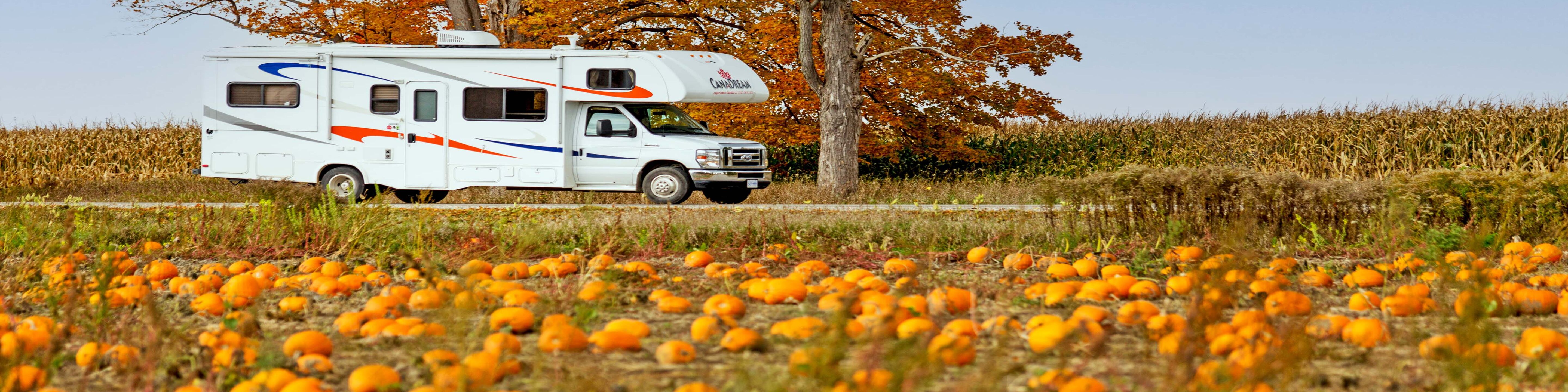 Fahrt mit dem MHA Midi Motorhome entlang eines Kürbisfelds in Ontario