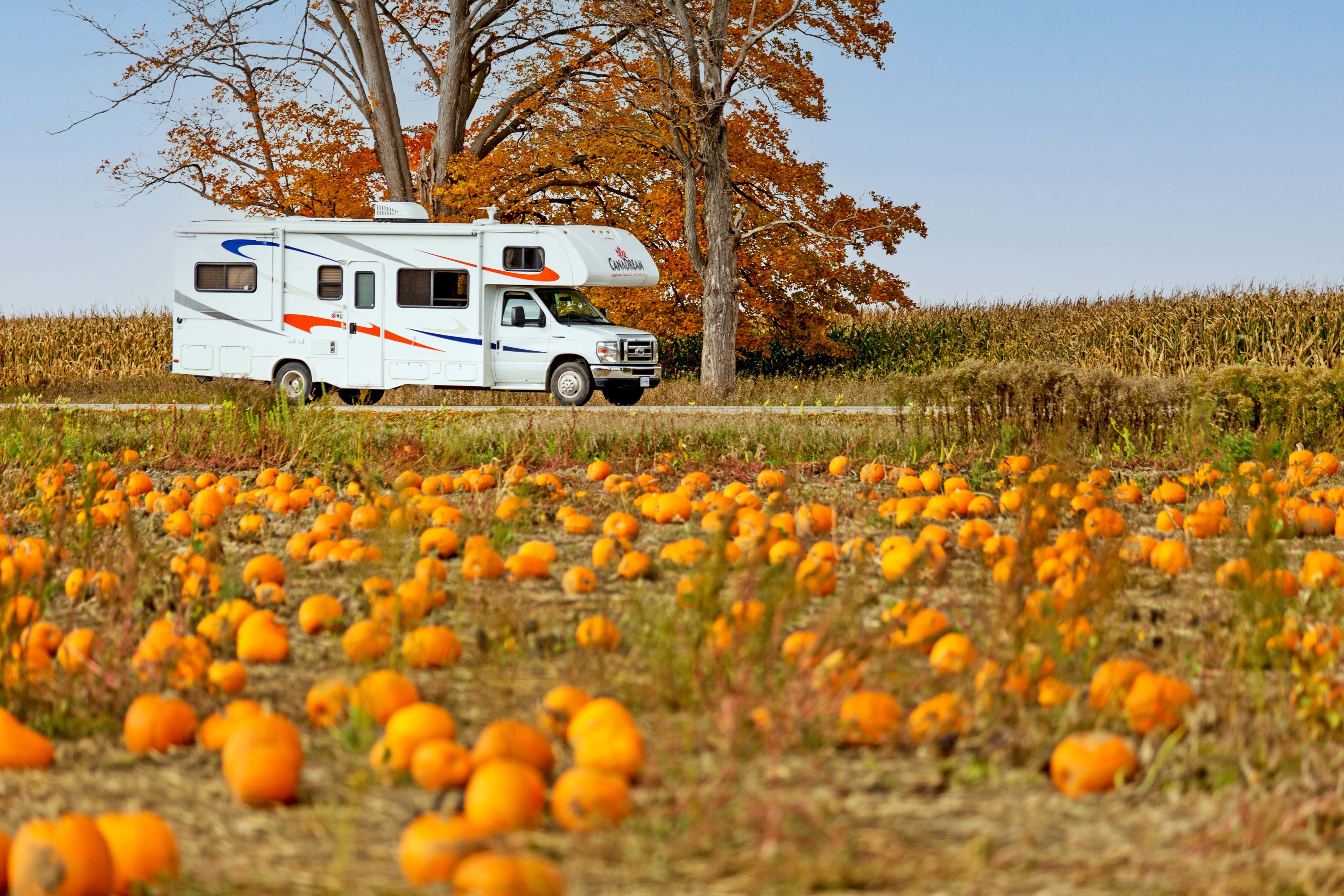 Fahrt mit dem MHA Midi Motorhome entlang eines Kürbisfelds in Ontario