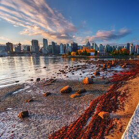 Stanley Park in Vancouver im Herbst