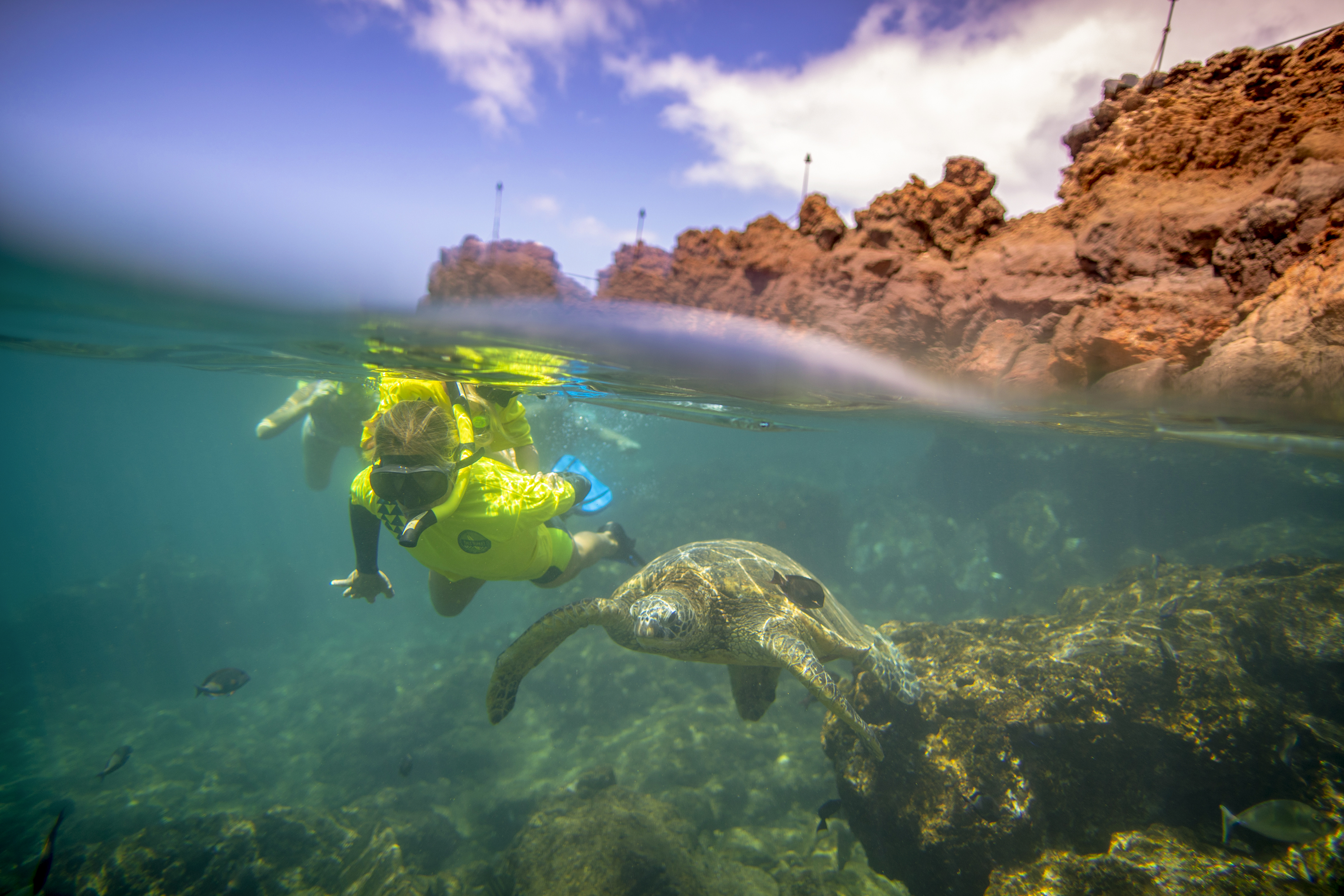 Schnorcheln im Hale Huakai Ocean Center des Ka'anapali Beach Hotels auf Maui