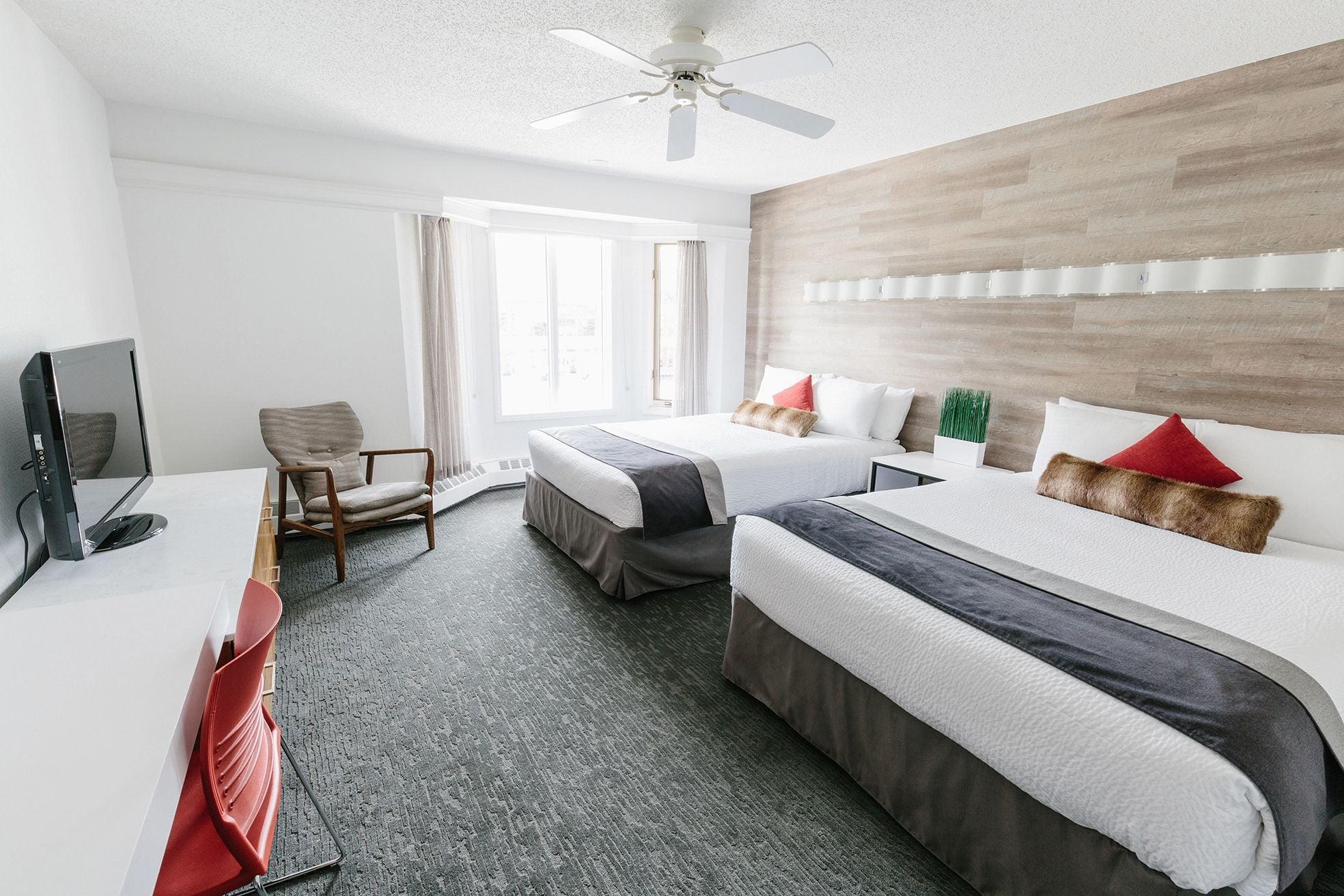 Doppelzimmer im Elk + Avenue Hotel