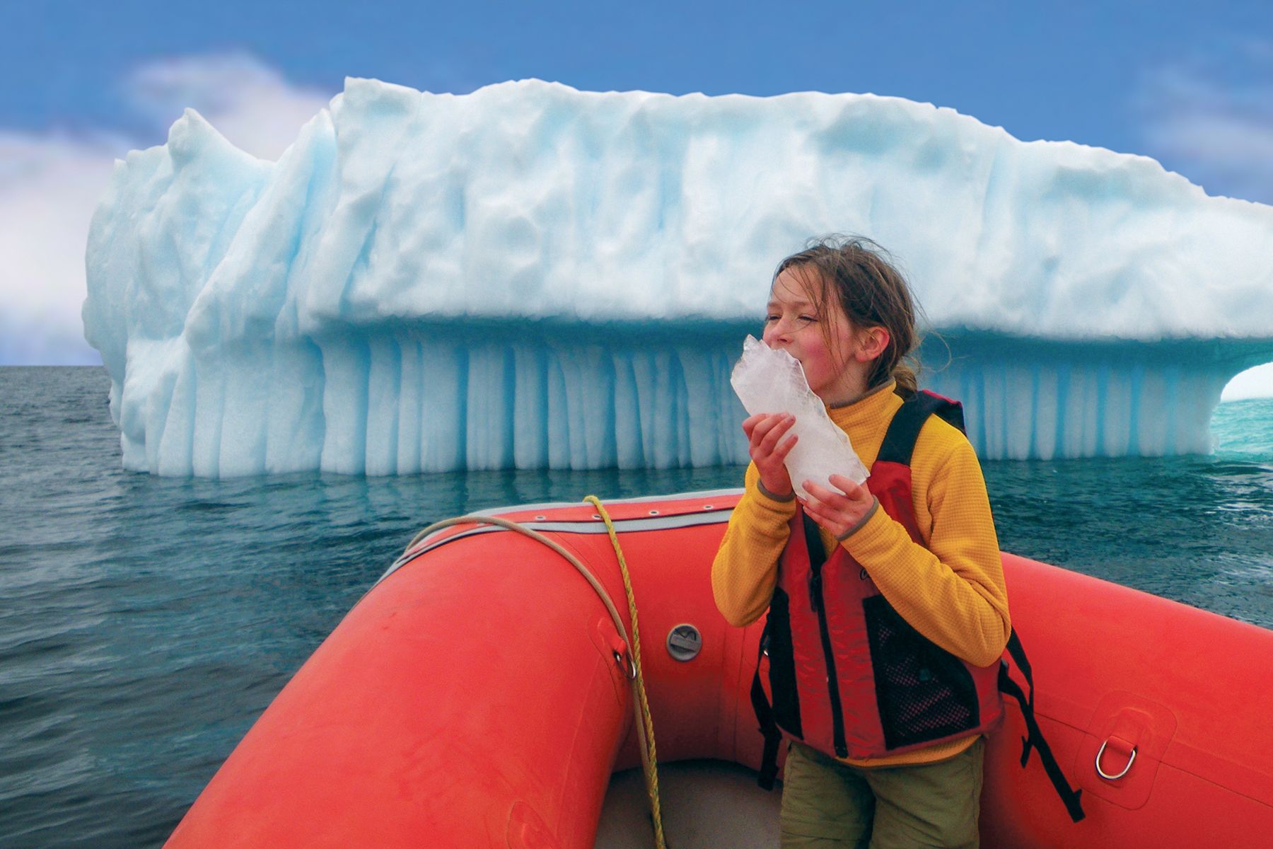 Den Eisbergen ganz nah