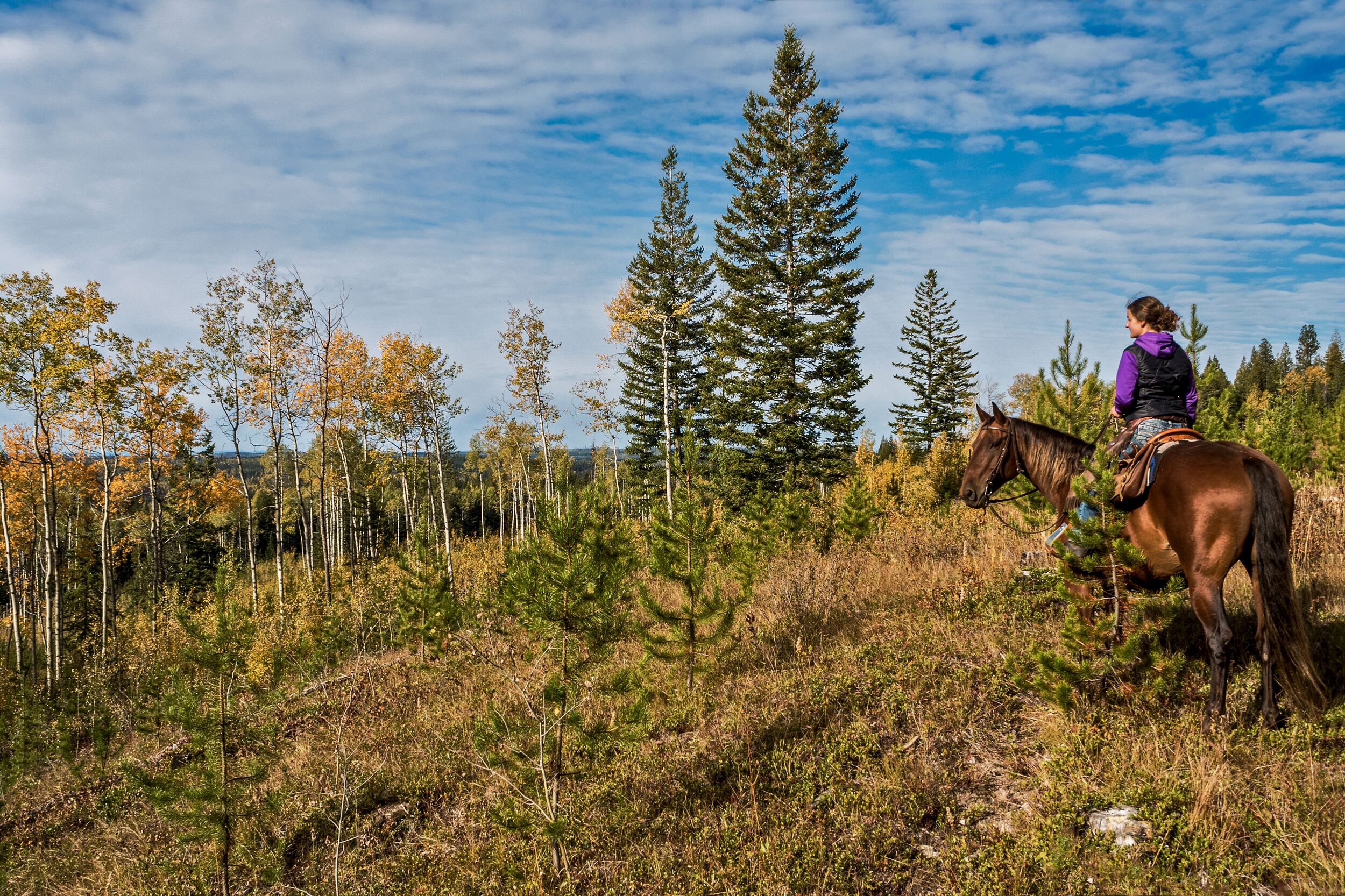 Horseback Riding im Ten-ee-ah Lodge Wilderness Resort in Lac la Hache