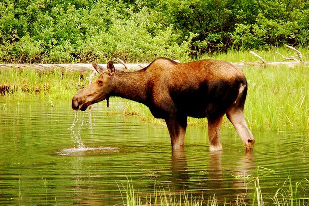Impressionen Pyna-Tee-Ah Lodge Impressionen Pyna-Tee-Ah Lodge