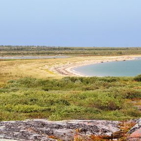 Ein Strandabschnitt in Churchill, Manitoba