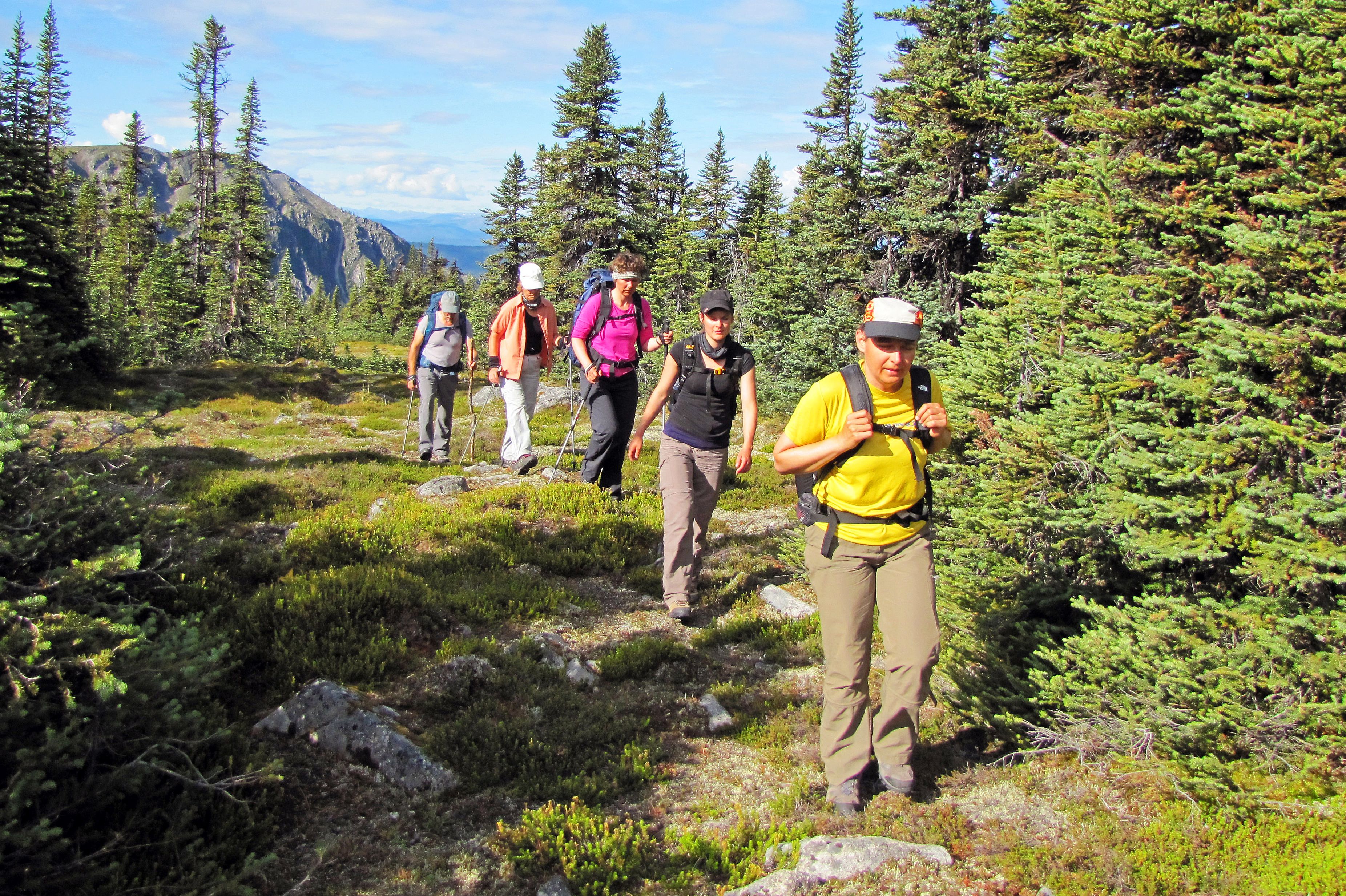 Wandern in herrlicher Natur