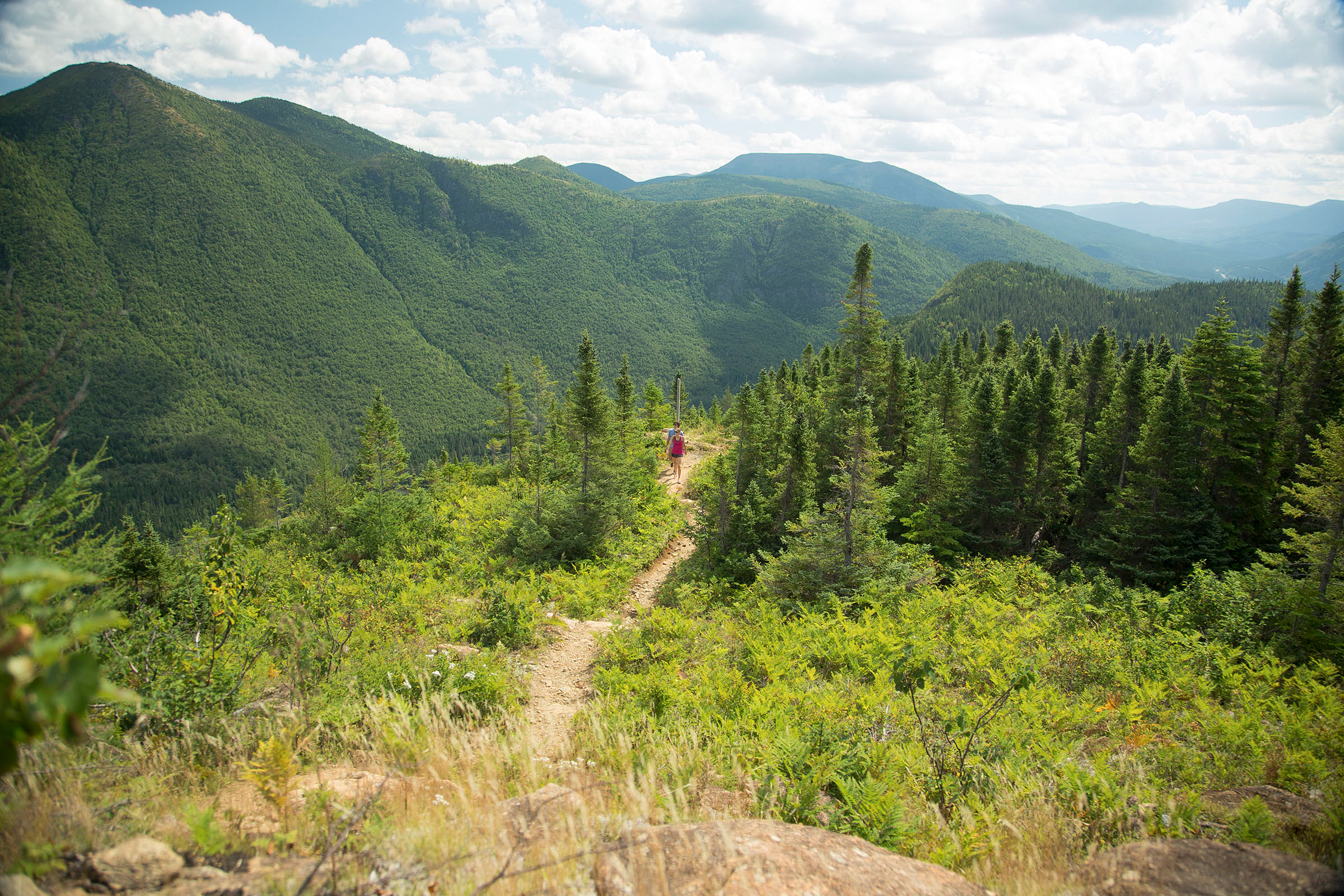 Wandern im Parc National de la Gaspésie in der Nähe des Le Gite-du-Mont-Albert