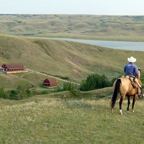 La Reata Ranch, Reiter und Pferd blicken auf die Ranch