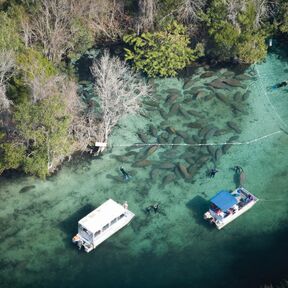Naturschutzgebiet Three Sisters Springs im Plantation Resort on Crystal River in Florida von oben