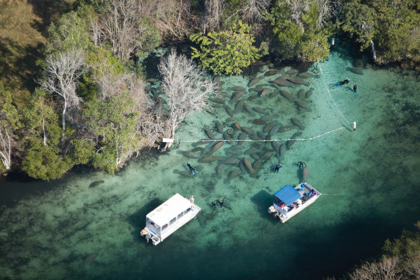 Naturschutzgebiet Three Sisters Springs im Plantation Resort on Crystal River in Florida von oben