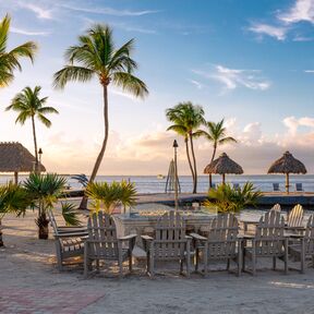 Sandstrand und Palmen am Reefhouse Resort & Marina in Florida