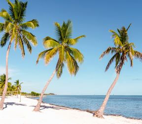 Entspannen am privaten Strand vom Parrot Key Hotel in Key West