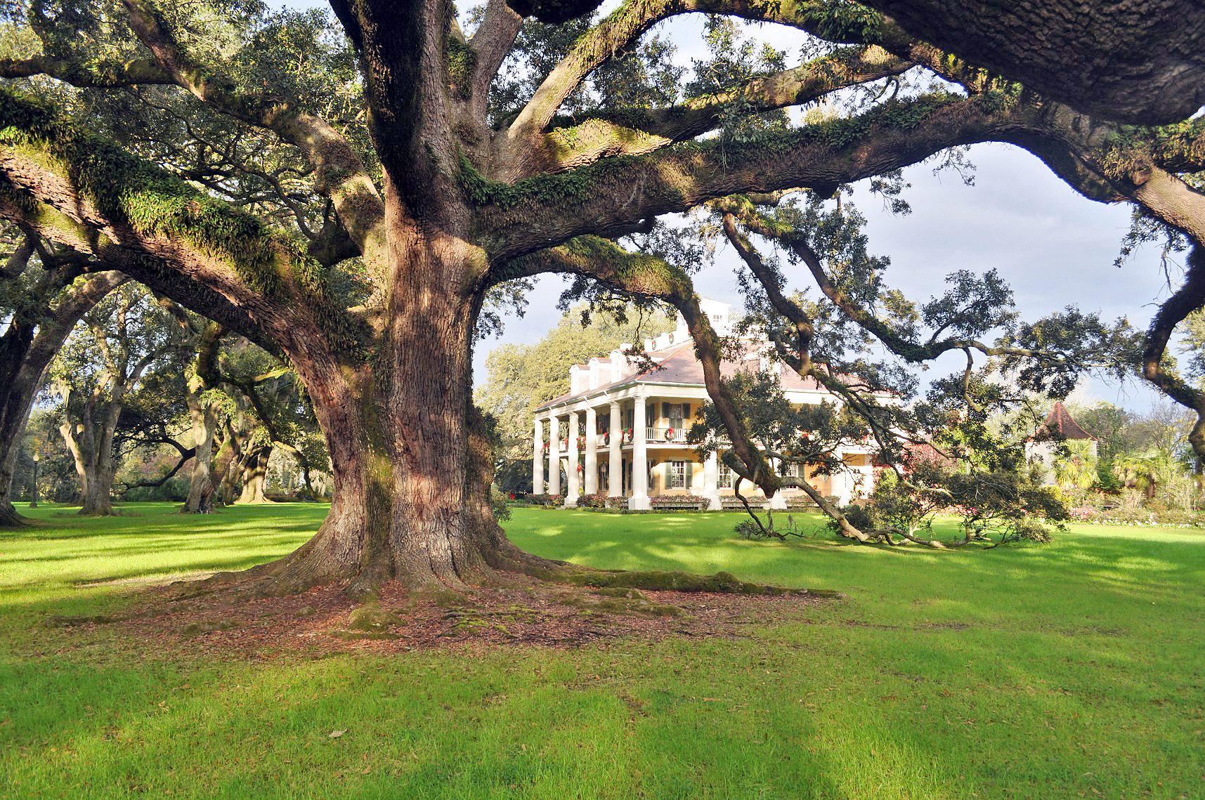 Impression Houmas House