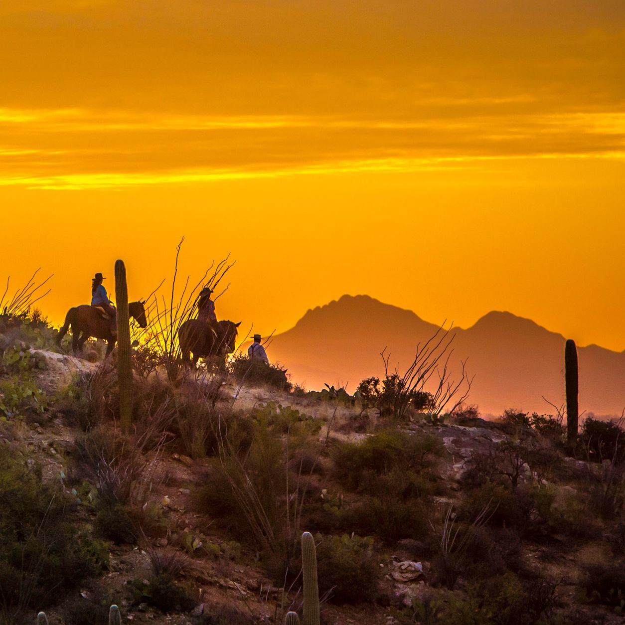 Impression Tanque Verde Ranch